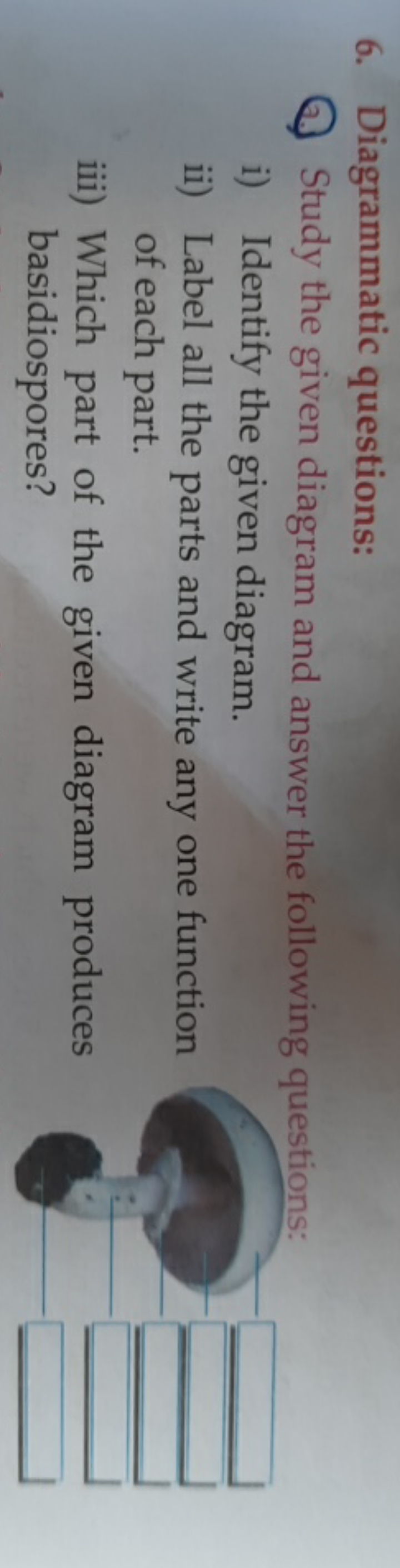 6. Diagrammatic questions:
Q. Study the given diagram and answer the f