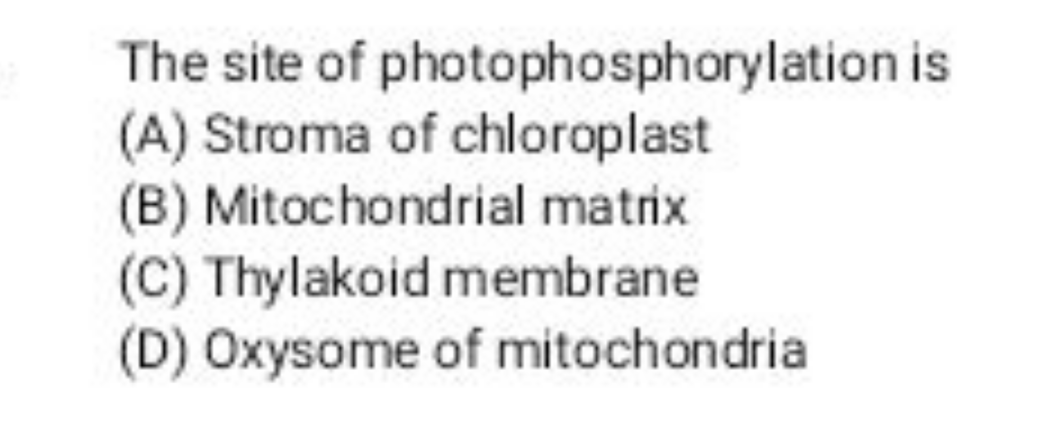 The site of photophosphorylation is
(A) Stroma of chloroplast
(B) Mito