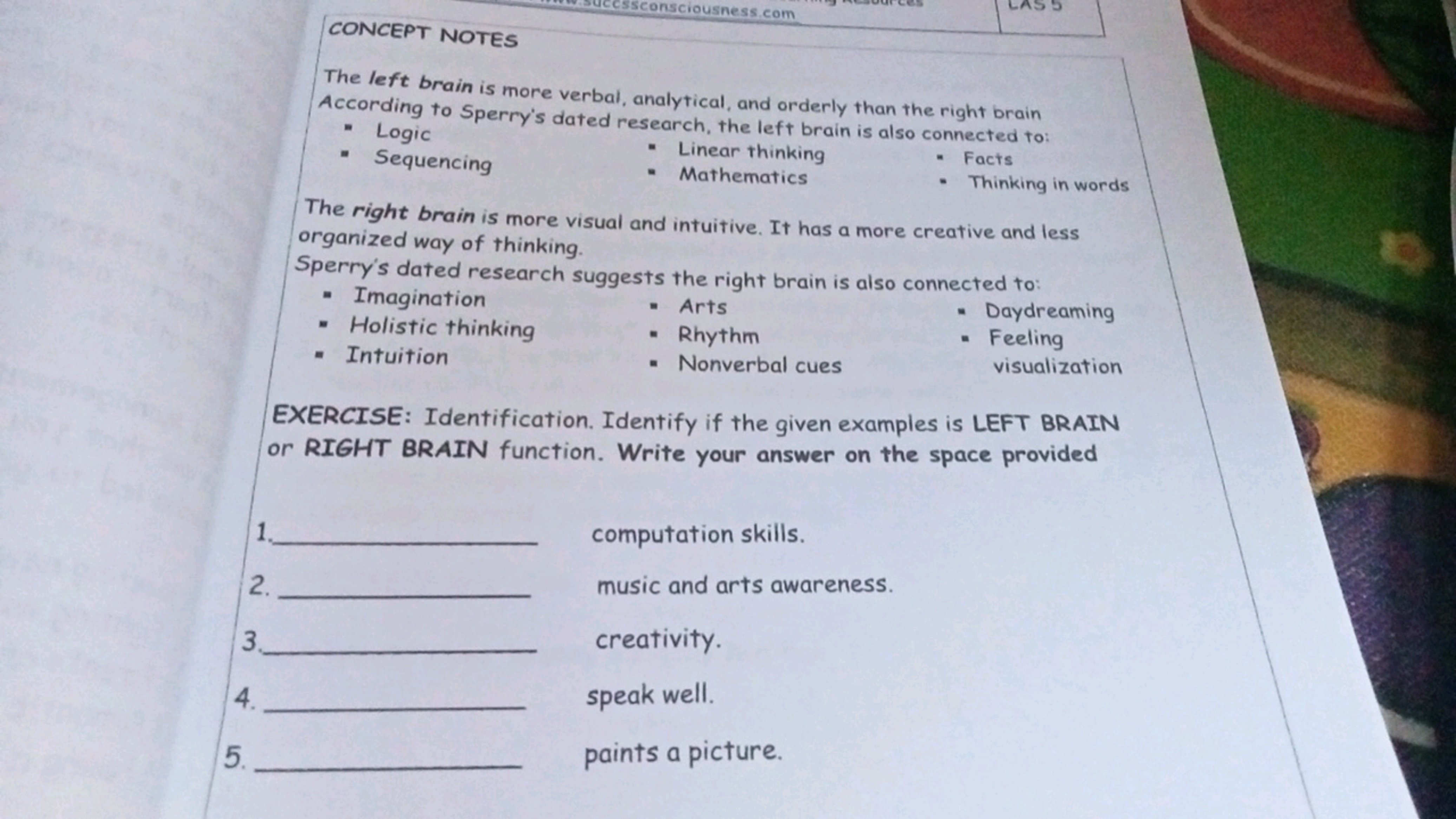 CONCEPT NOTES

The left brain is more verbal, analytical, and orderly 