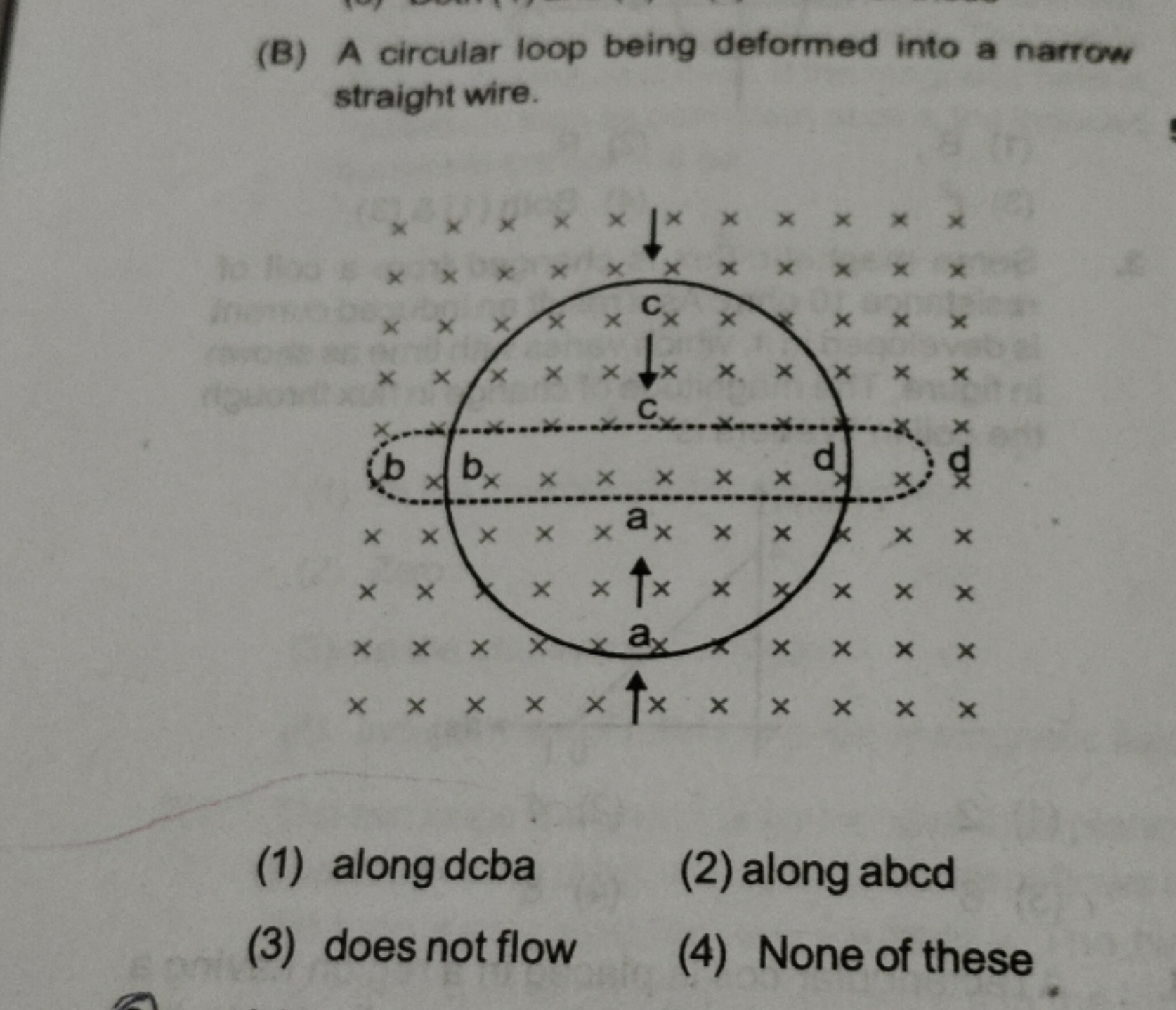 (B) A circular loop being deformed into a narrow straight wire.
(1) al