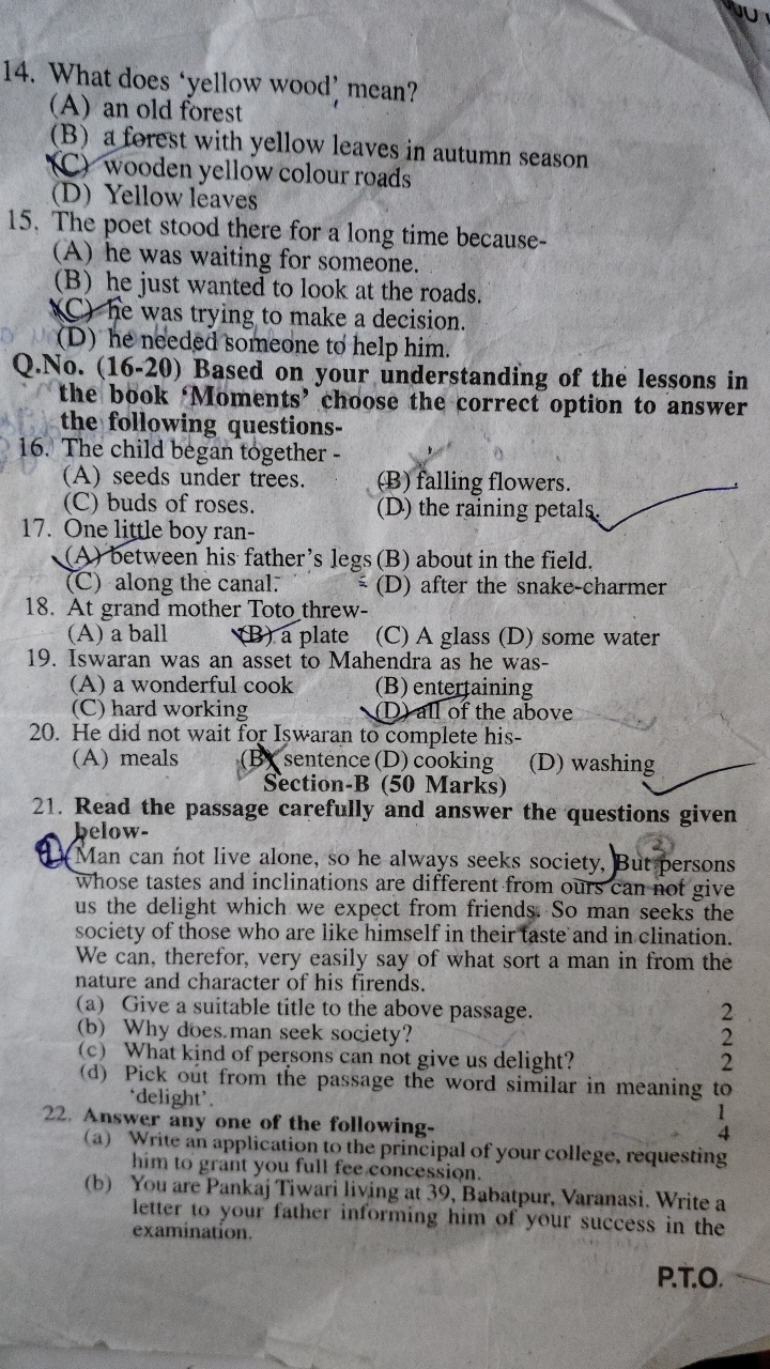 14. What does 'yellow wood', mean?
(A) an old forest
(B) a forest with