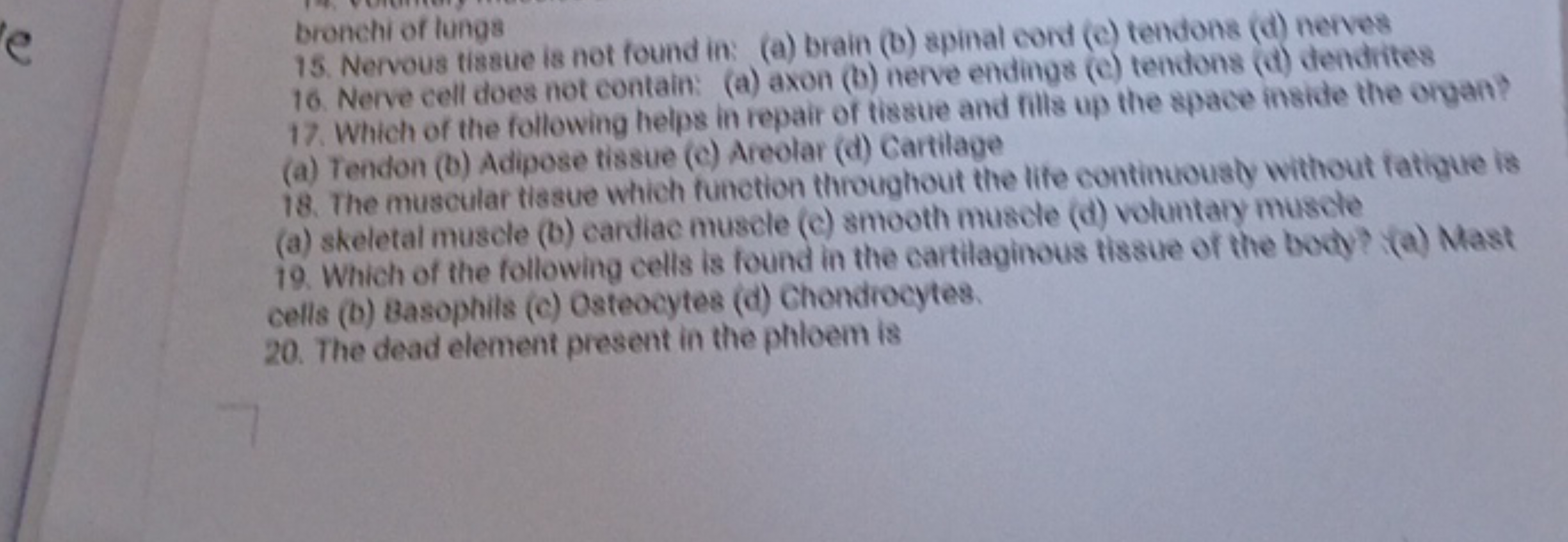 bronchi of lungs
15. Nervous tissue is not found in: (a) brain (b) spi