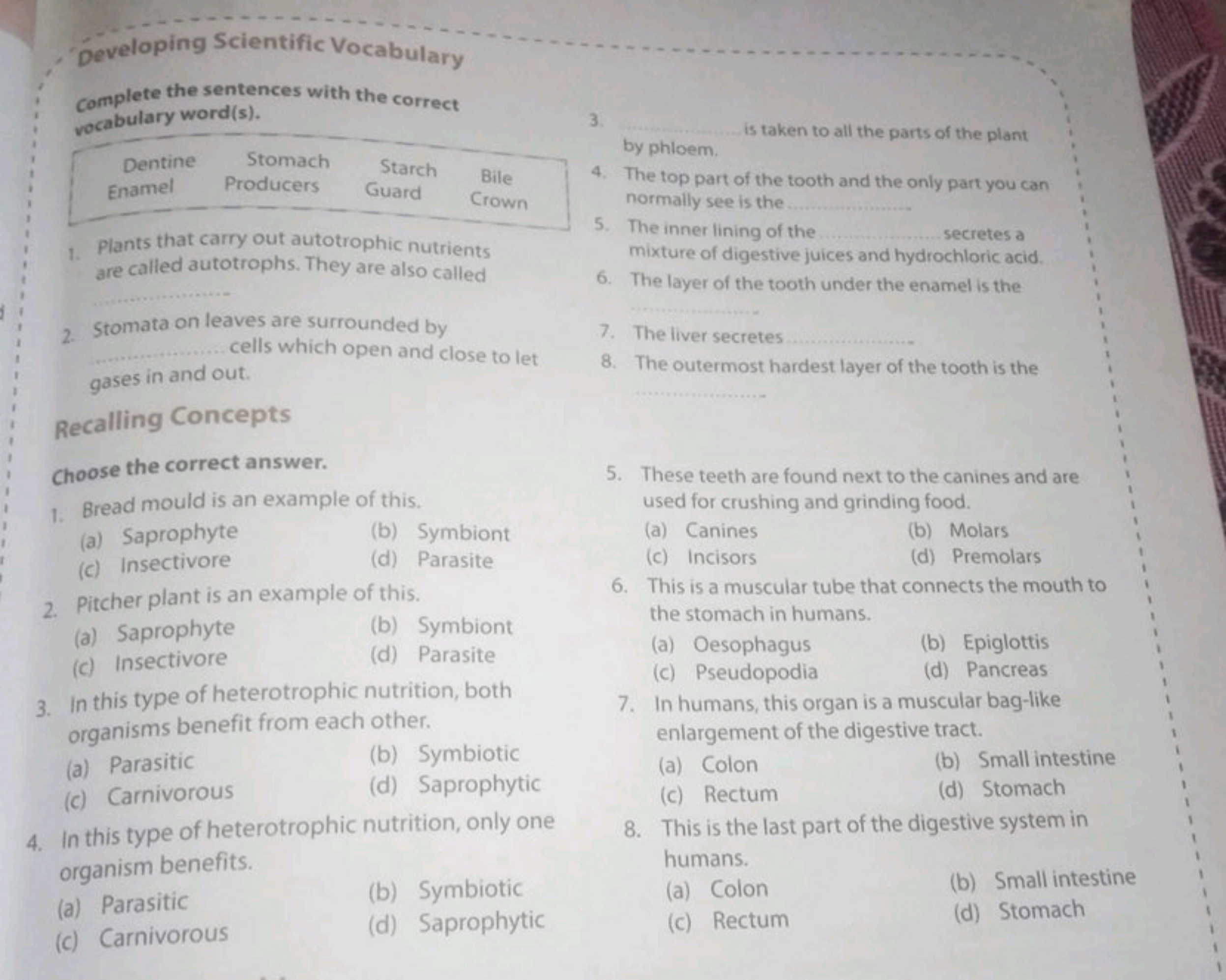 Developing Scientific Vocabulary
Complete the sentences with the corre