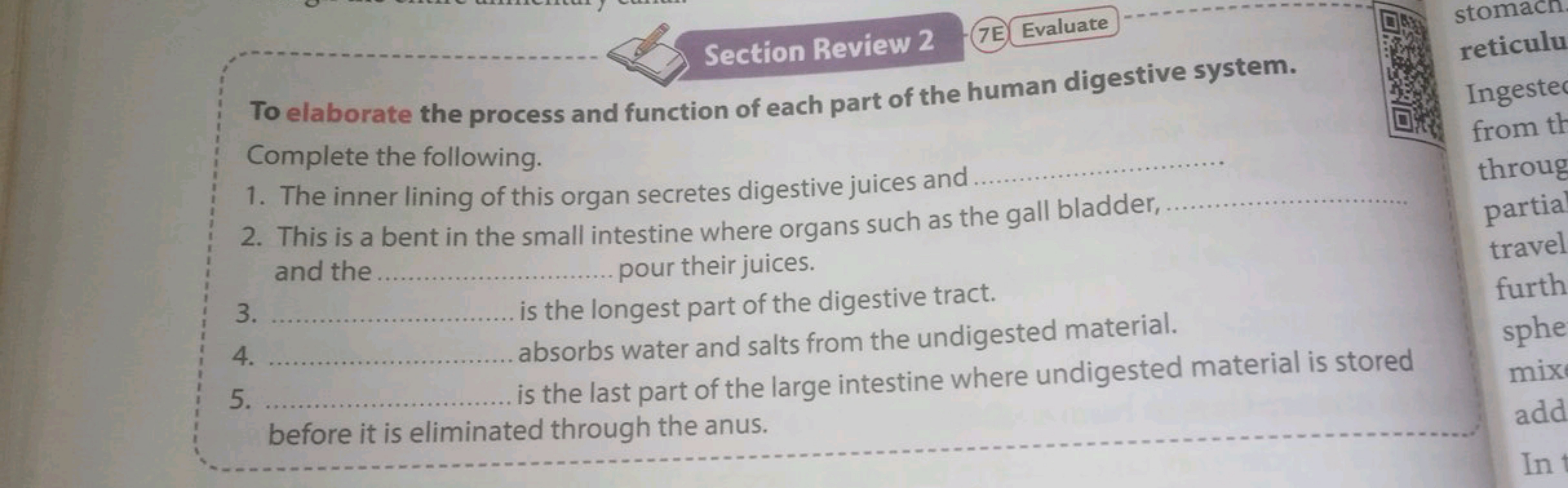 Section Review 2
To elaborate the process and function of each part of