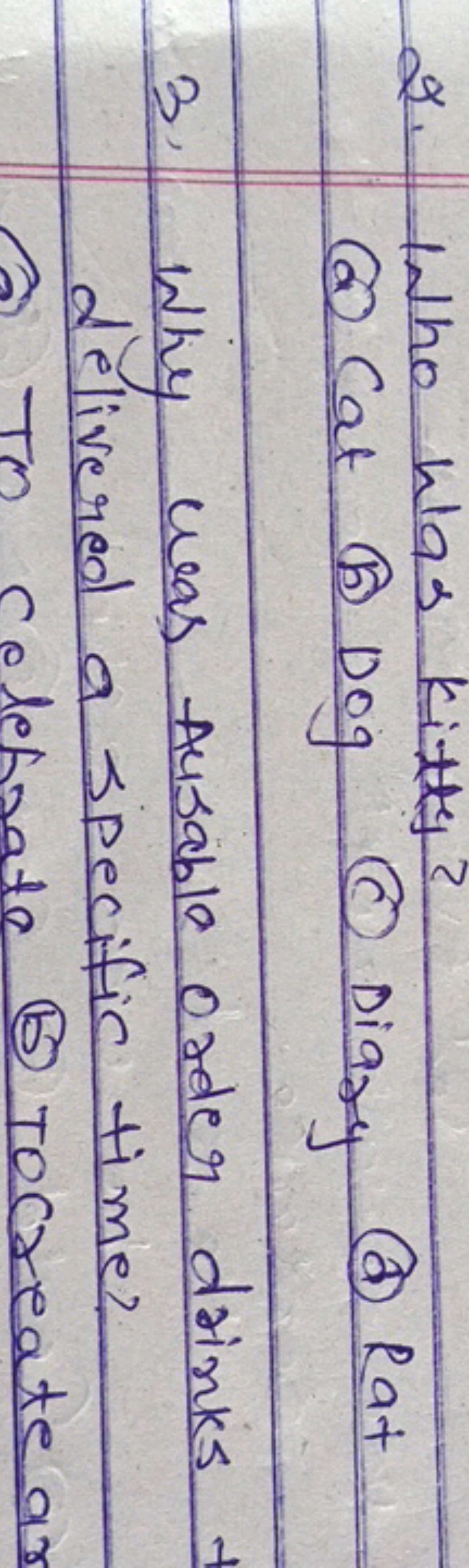 2. Who Was Kitty?
(a) Cat
(b) DOg
(C) Diary
(d) Rat
3. Why was usable 