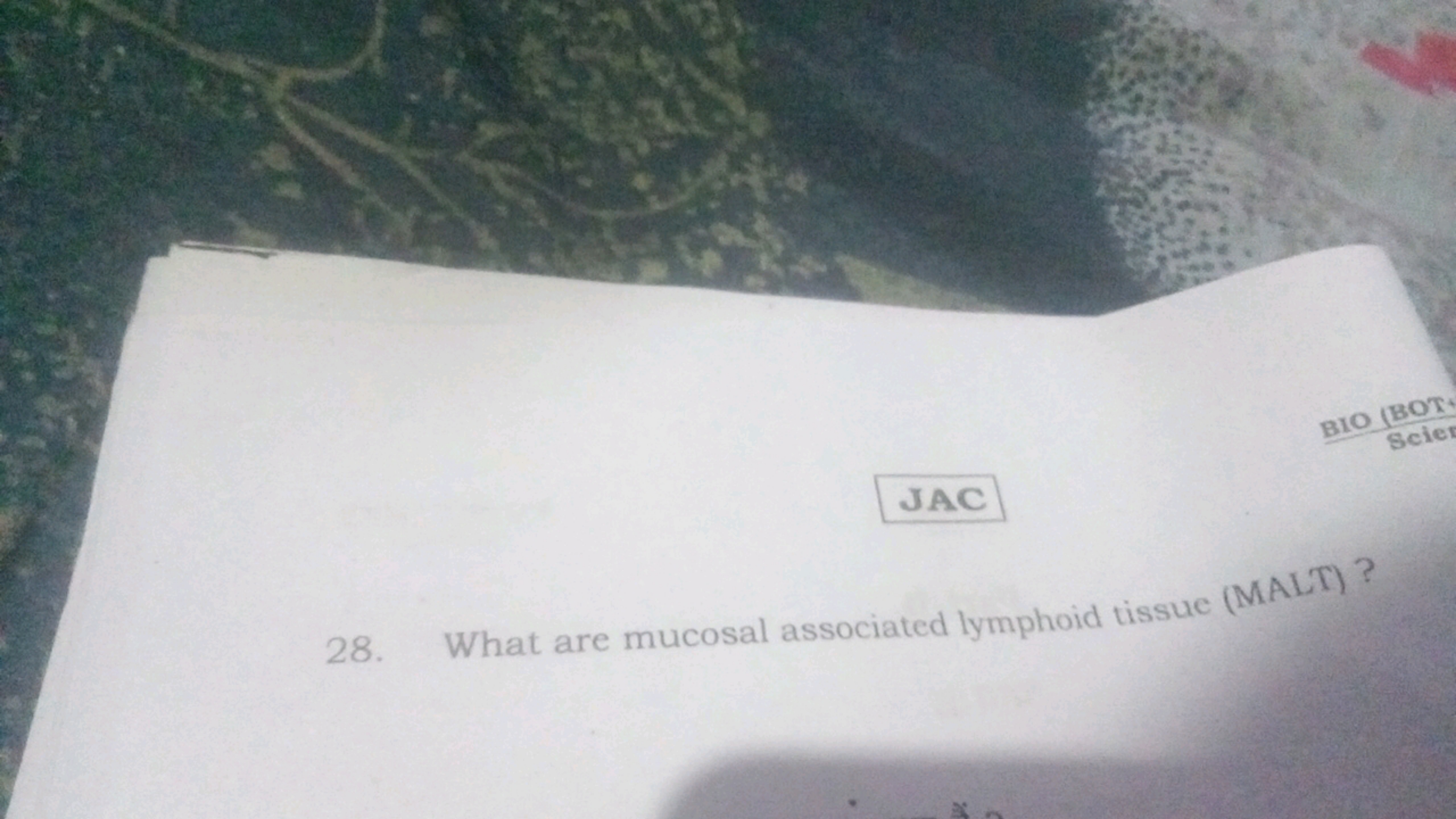 JAC
BIO (BOT
28. What are mucosal associated lymphoid tissue (MALT)?
S