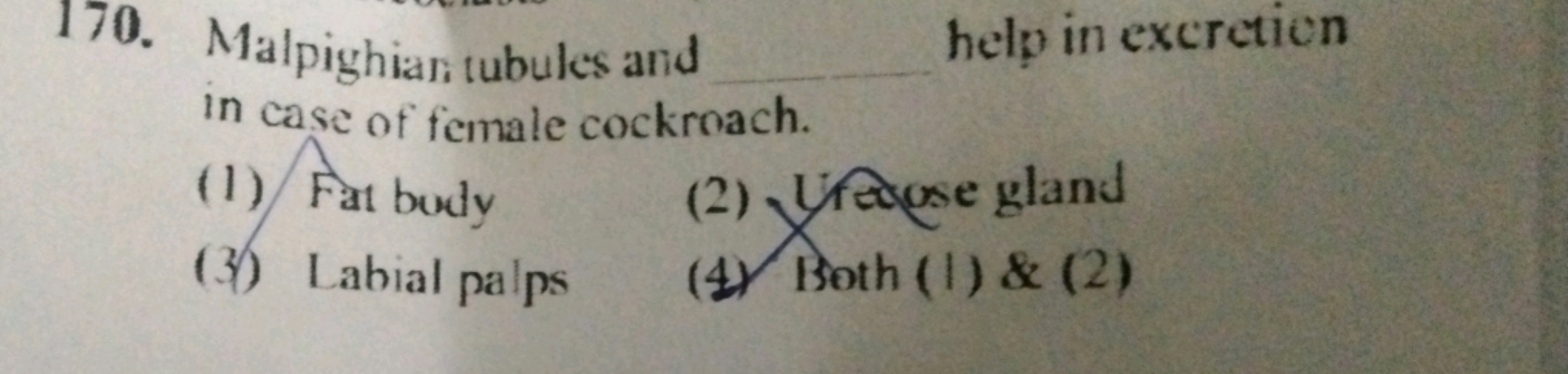 170. Malpighiar tubules and  help in excretion in case of female cockr