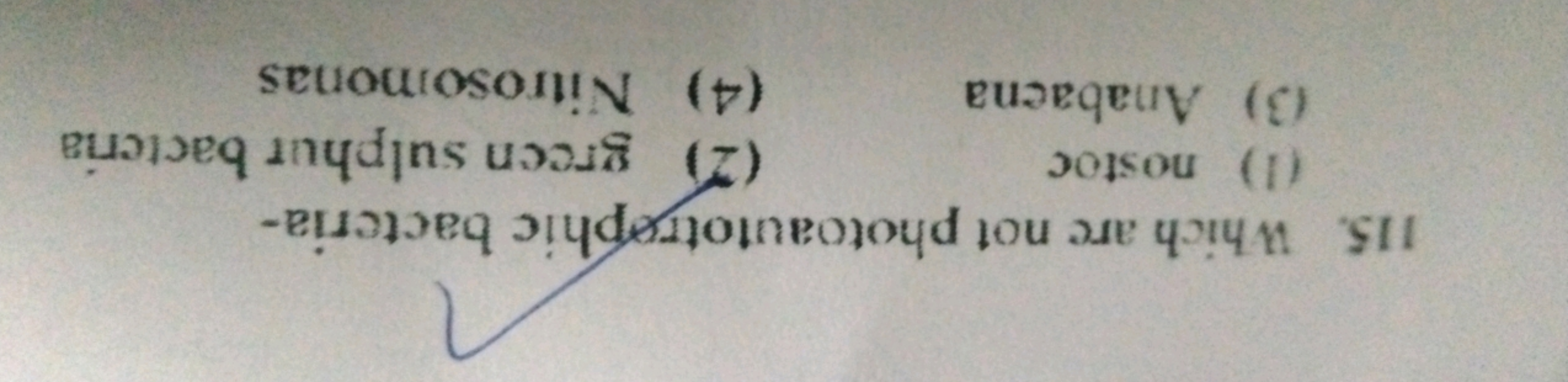 115. Which are not photoautotrephic bacteria-
(1) nostoc
(2) green sul