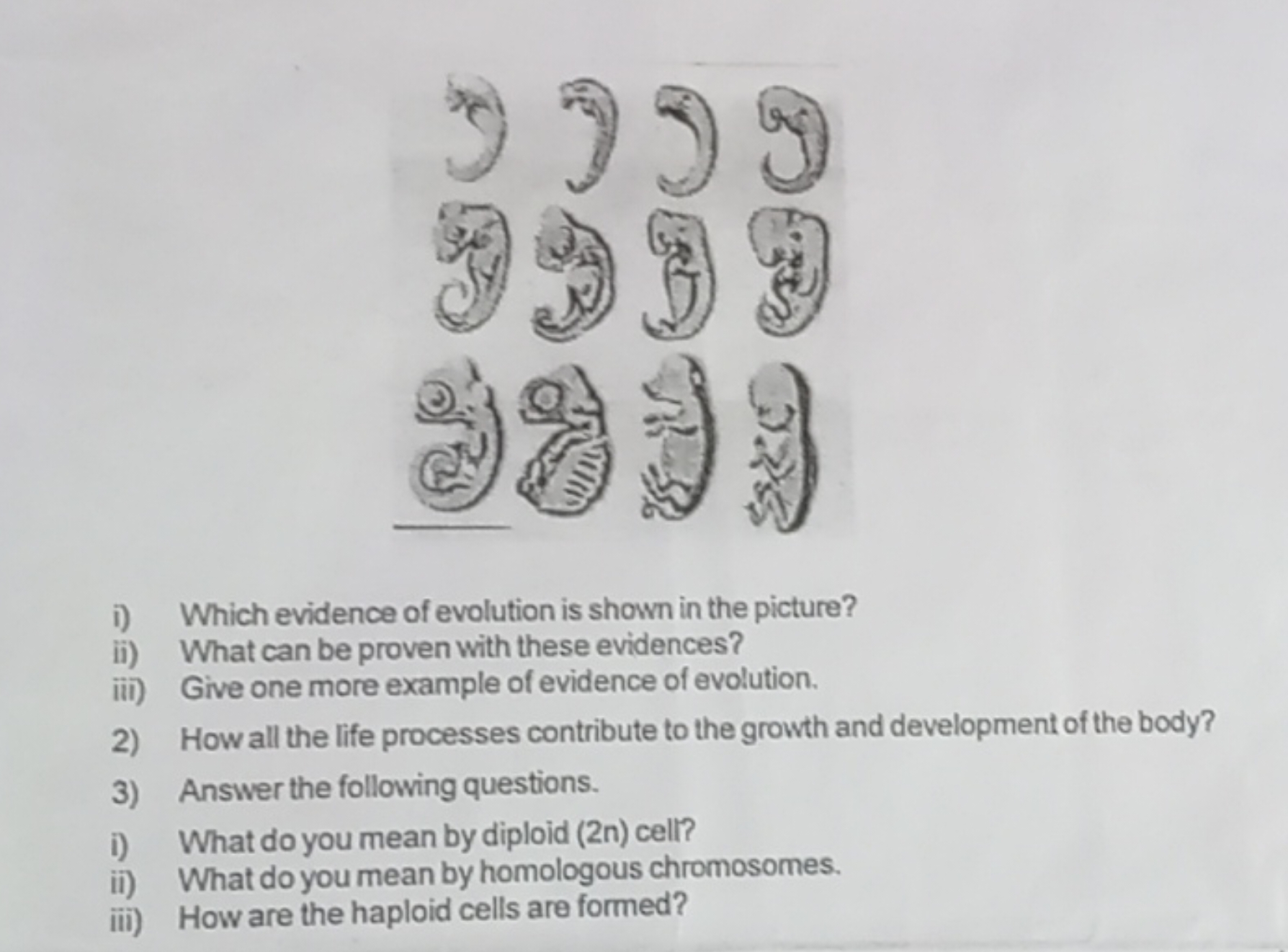 i) Which evidence of evolution is shown in the picture?
ii) What can b