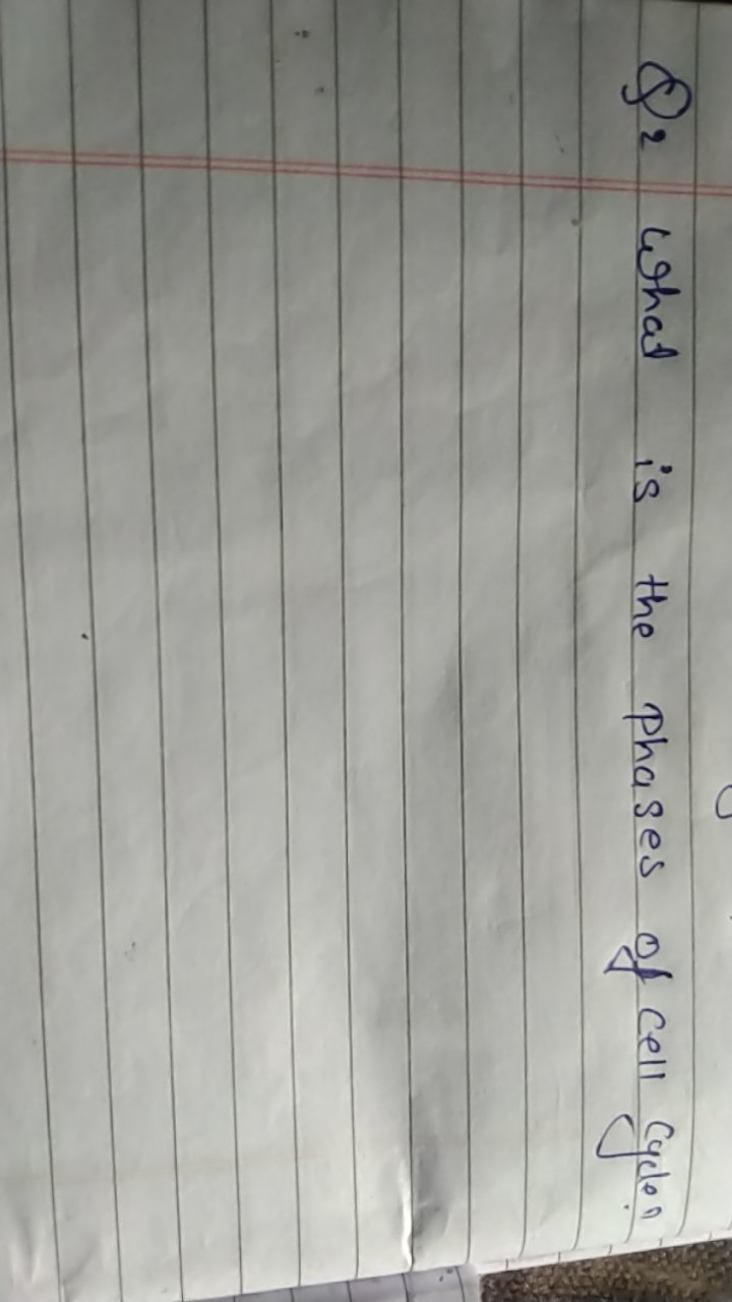 Q2 What is the phases of cell cycle?