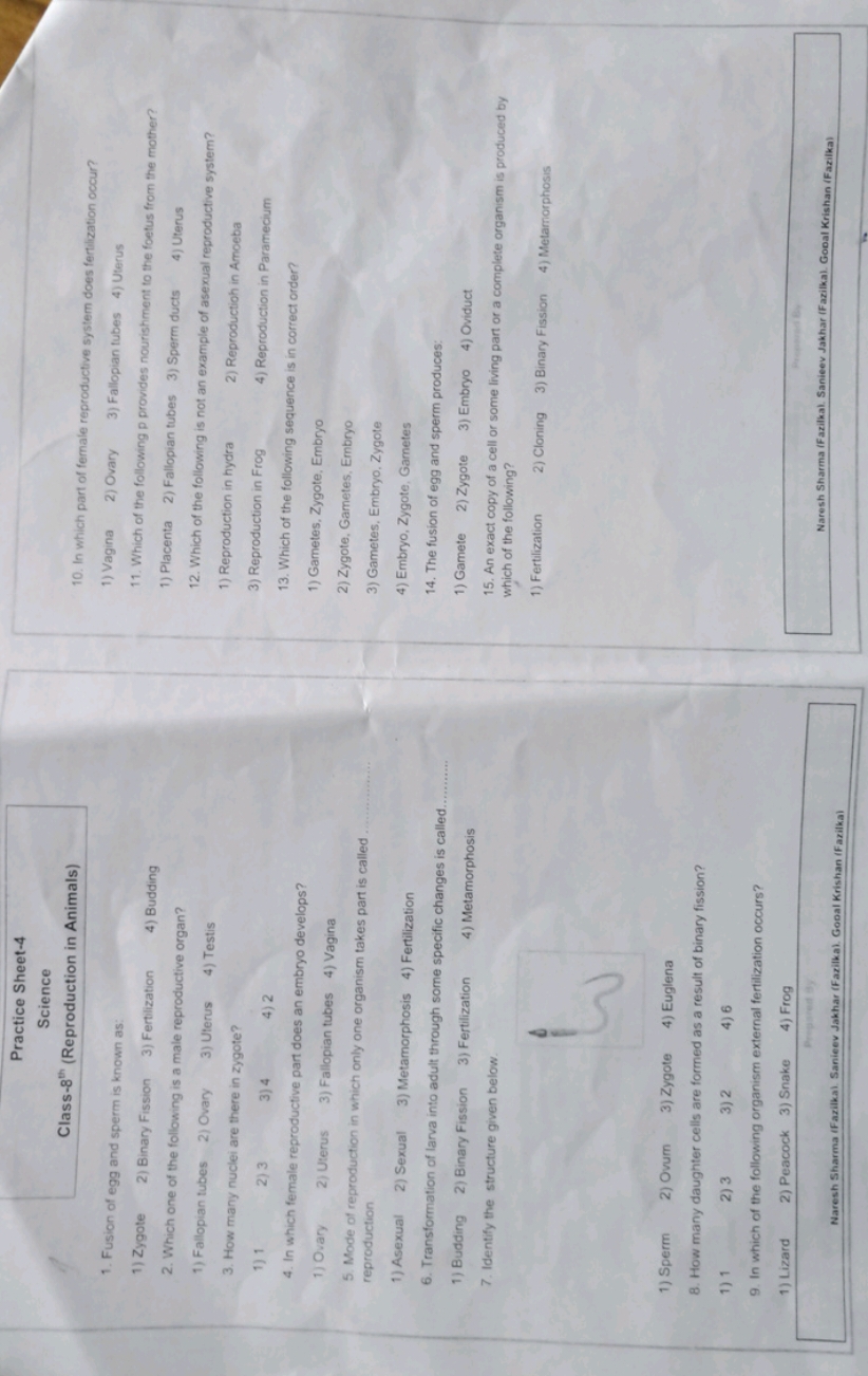 Practice Sheet-4
Science
Class-8 8th  (Reproduction in Animals)
1. Fus