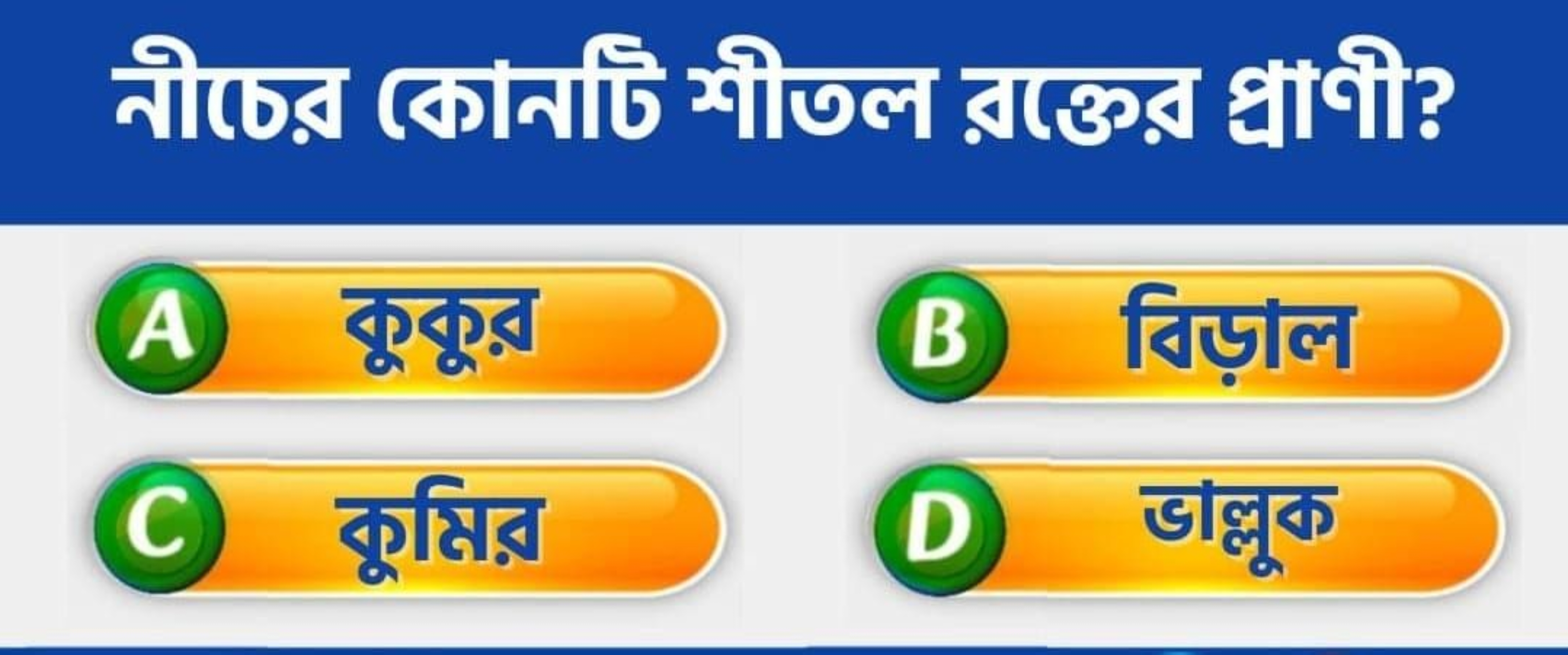 নীচর কোনাটি শীতল রাক্তের द्वाাণী?
A কুকুর
B विड़ाल
(C) কুমির
(D) डालूक