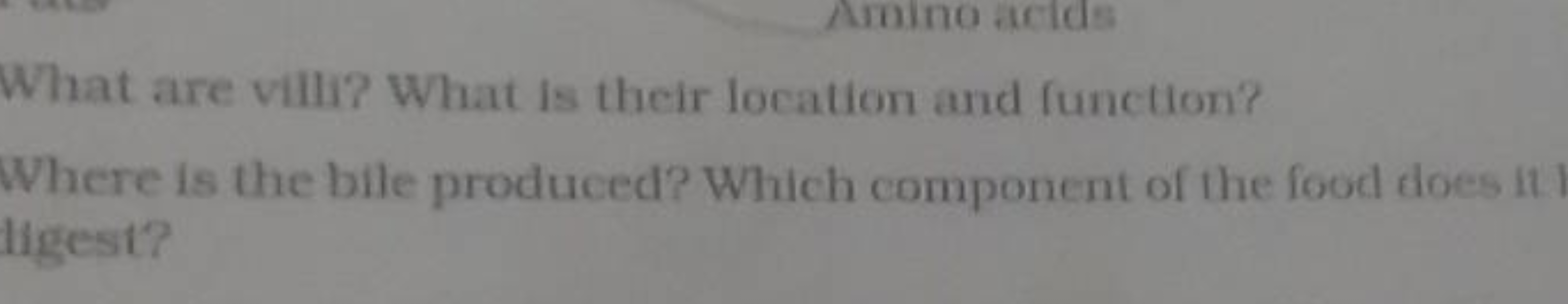 What are vili? What is their location and function?
Where ts the bite 