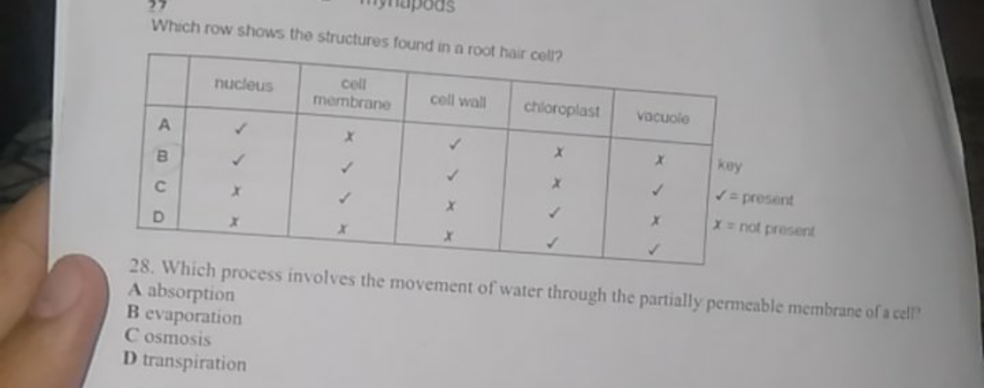 Which row shows the structures found in a root hair cell?
nucleuscellc