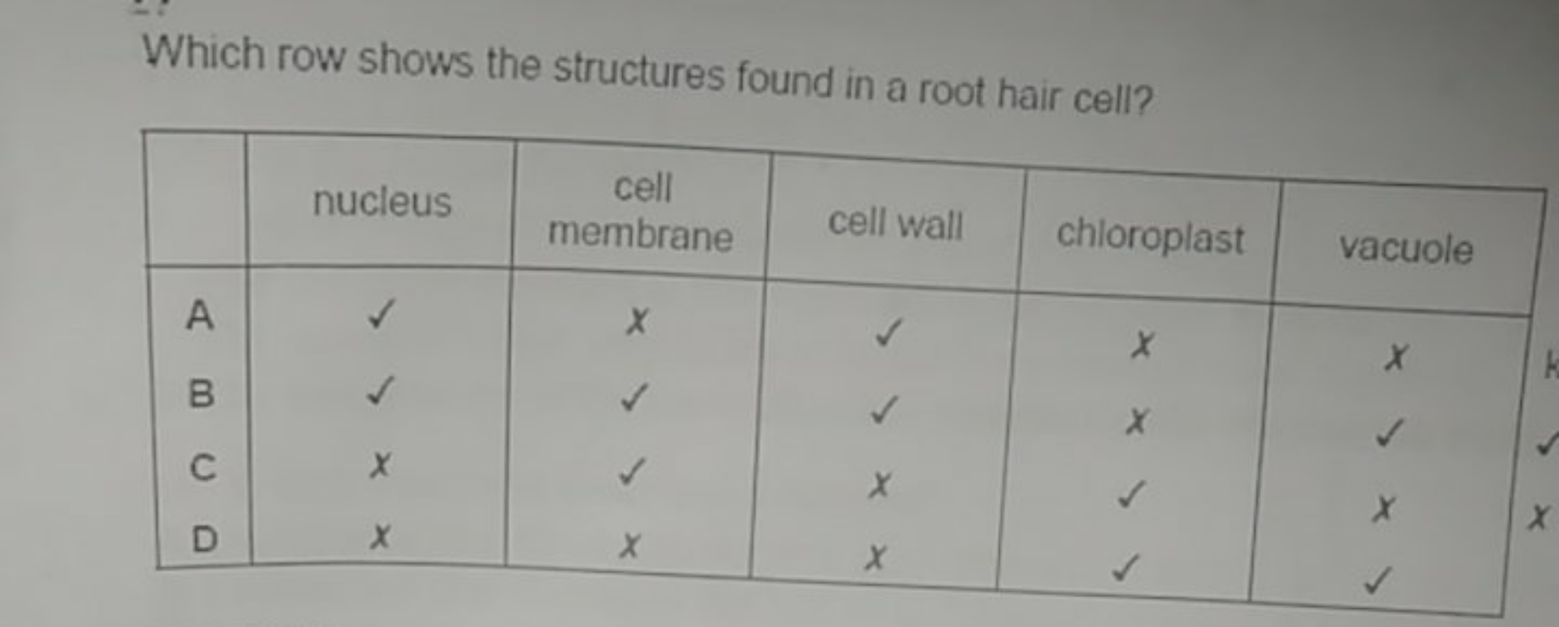 Which row shows the structures found in a root hair cell?
nucleus\begi