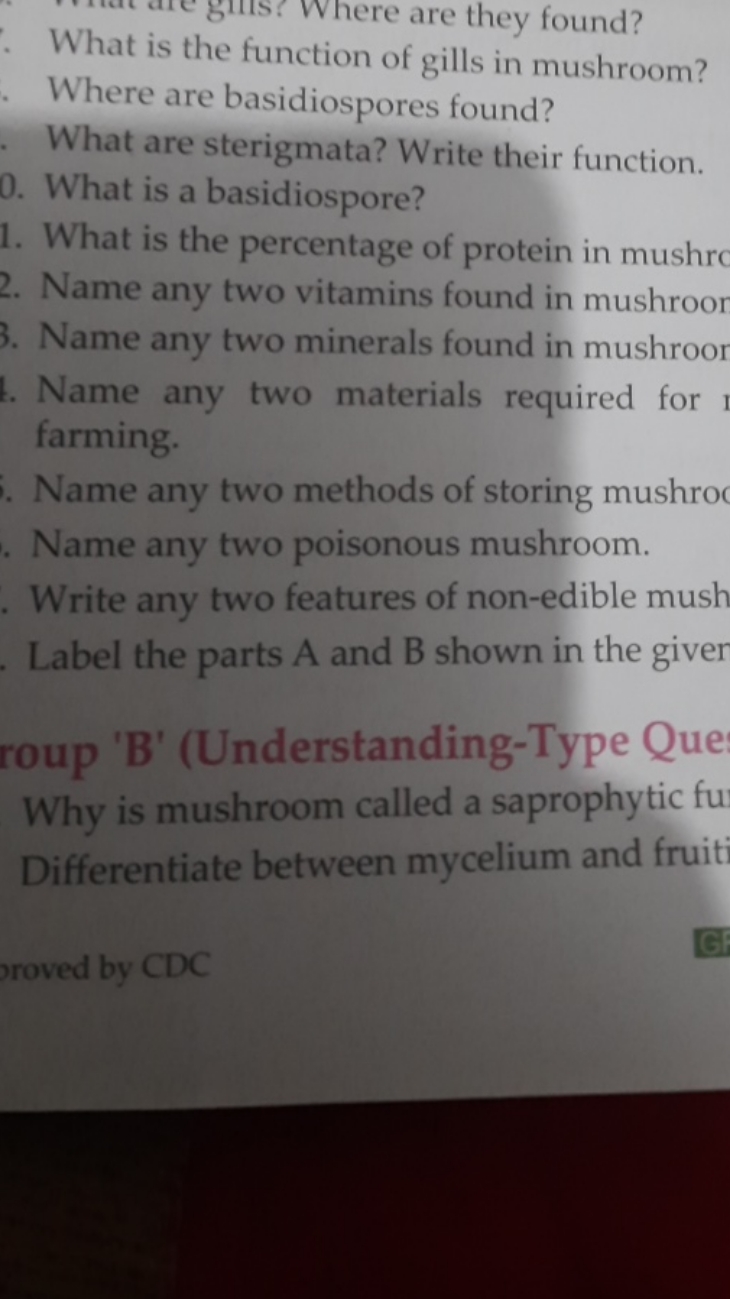 What is the function of gills in mushroom?
Where are basidiospores fou