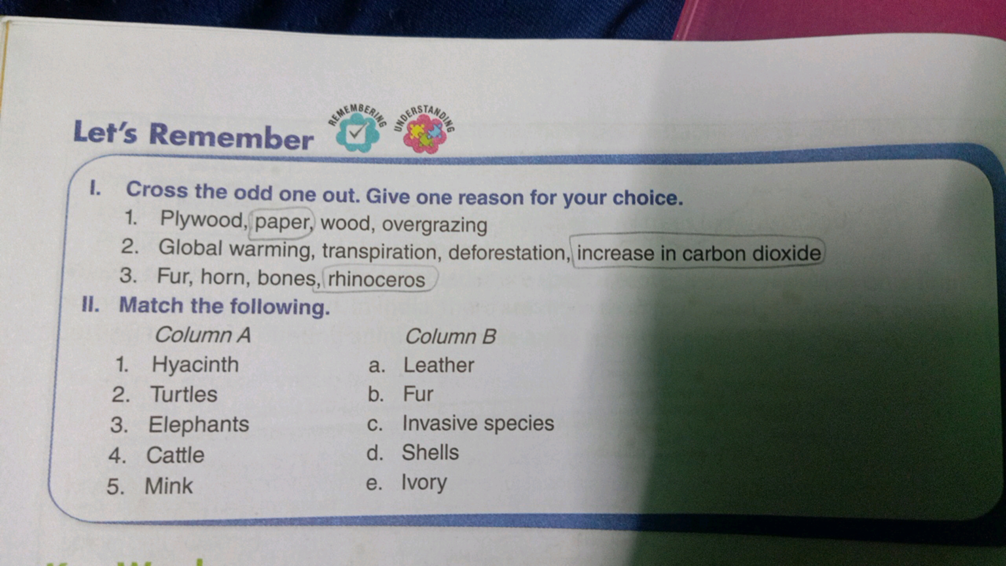 Let's Remember
I. Cross the odd one out. Give one reason for your choi