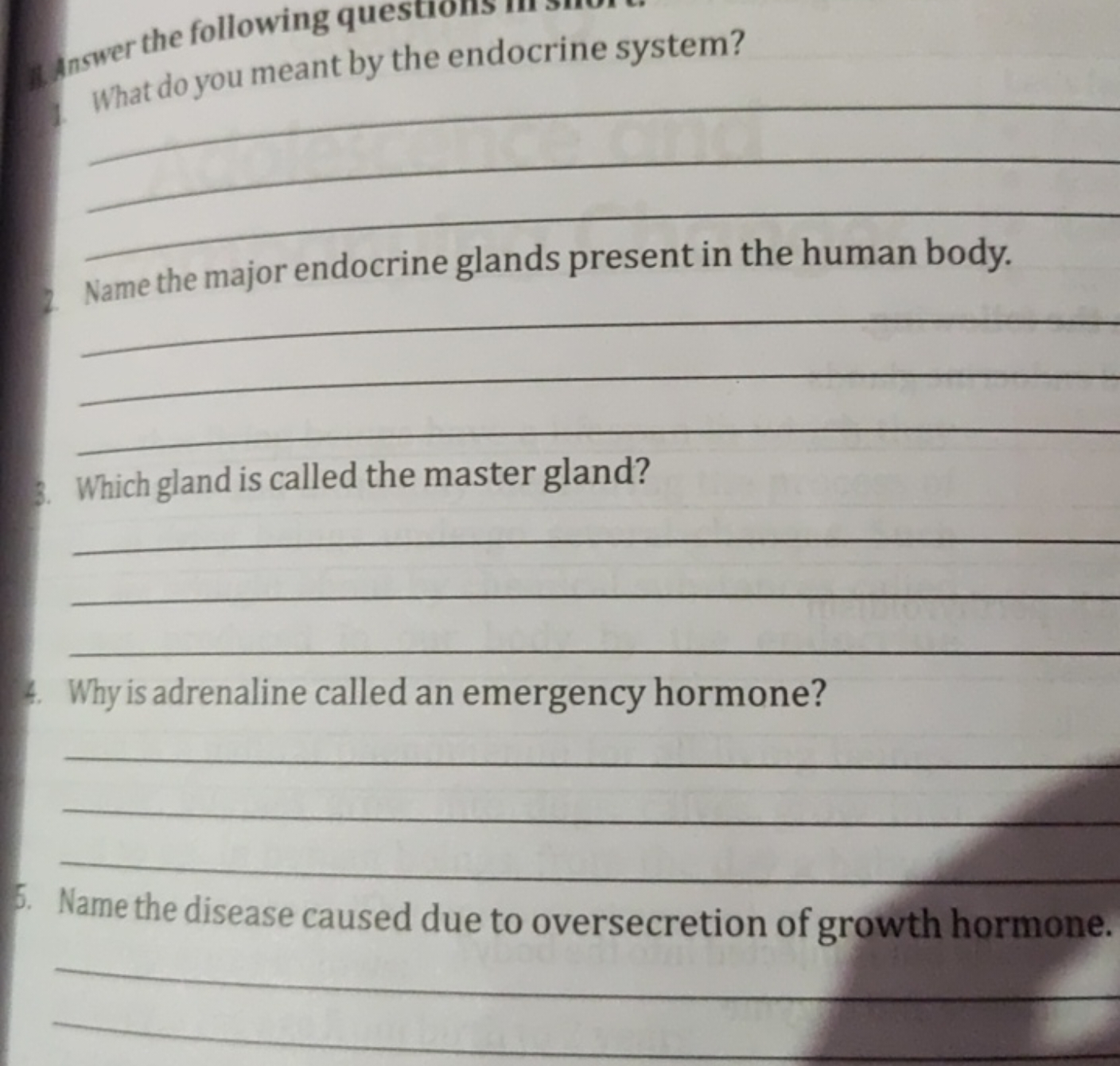 In wer the following q
What do you meant by the endocrine system?   
N