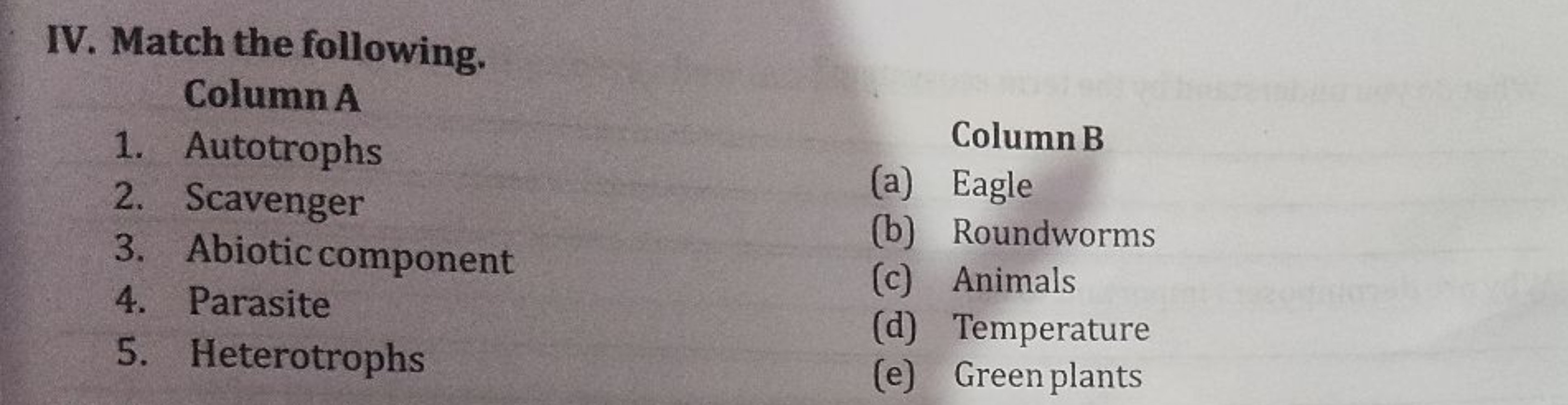 IV. Match the following.

Column A
1. Autotrophs
2. Scavenger

Column 