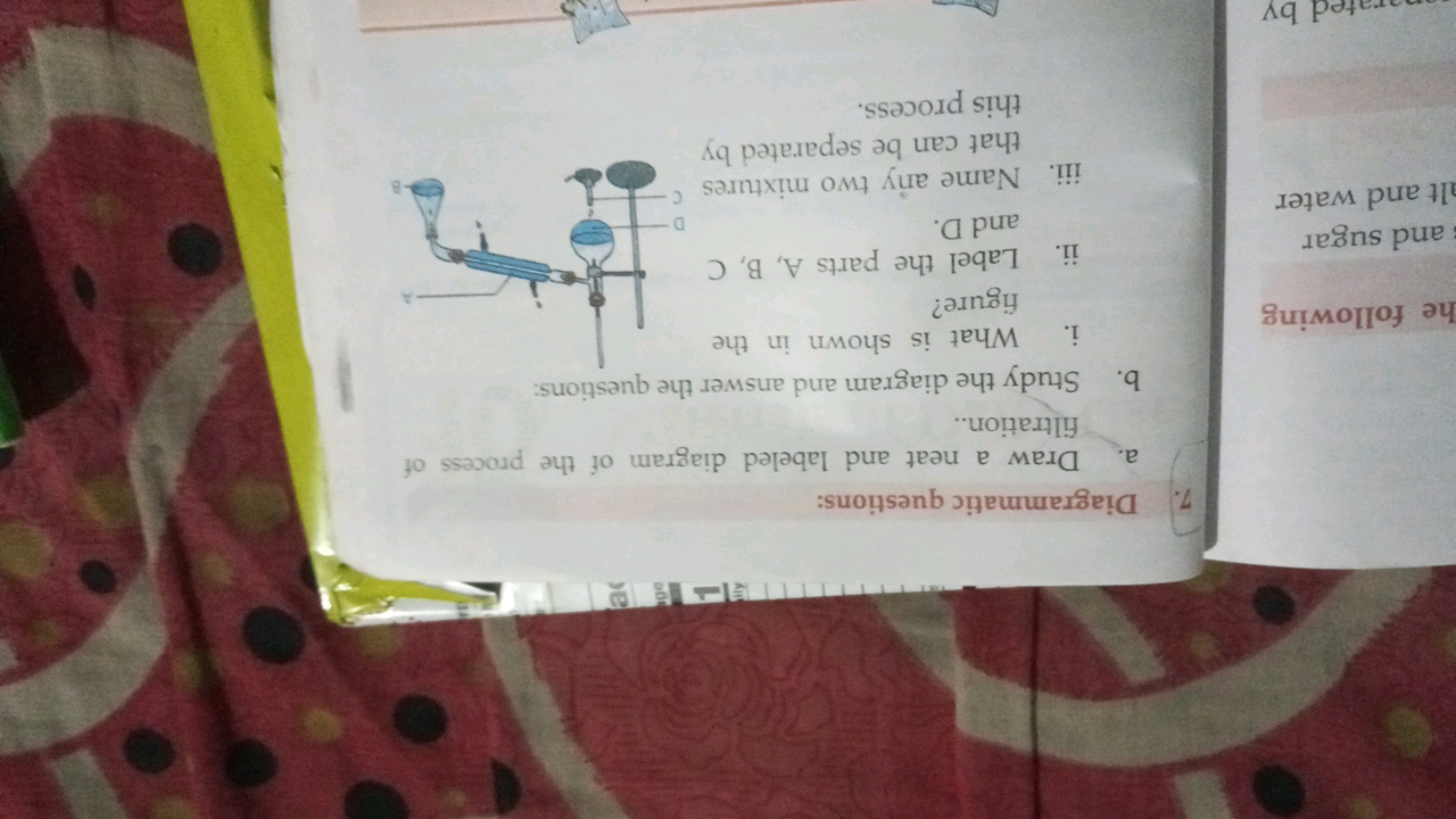 7. Diagrammatic questions:
a. Draw a neat and labeled diagram of the p