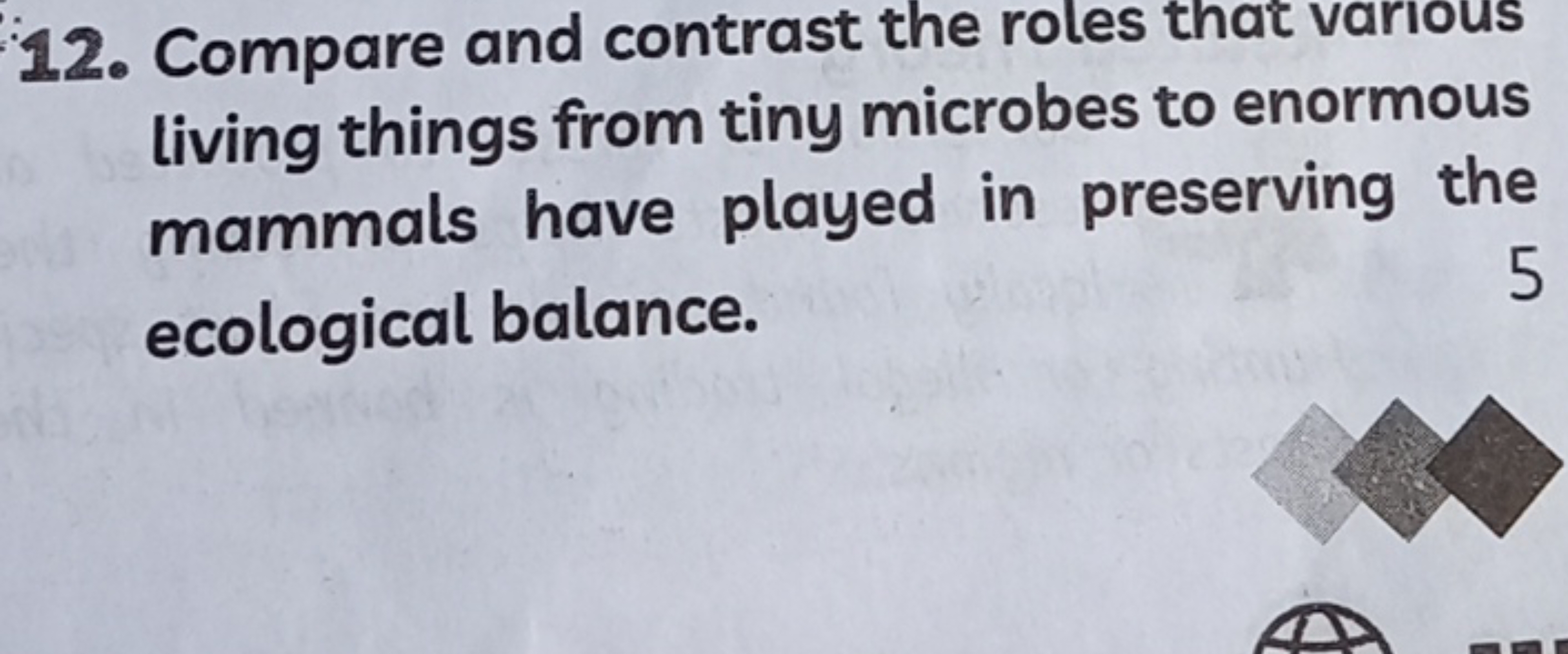 12. Compare and contrast the roles that various living things from tin