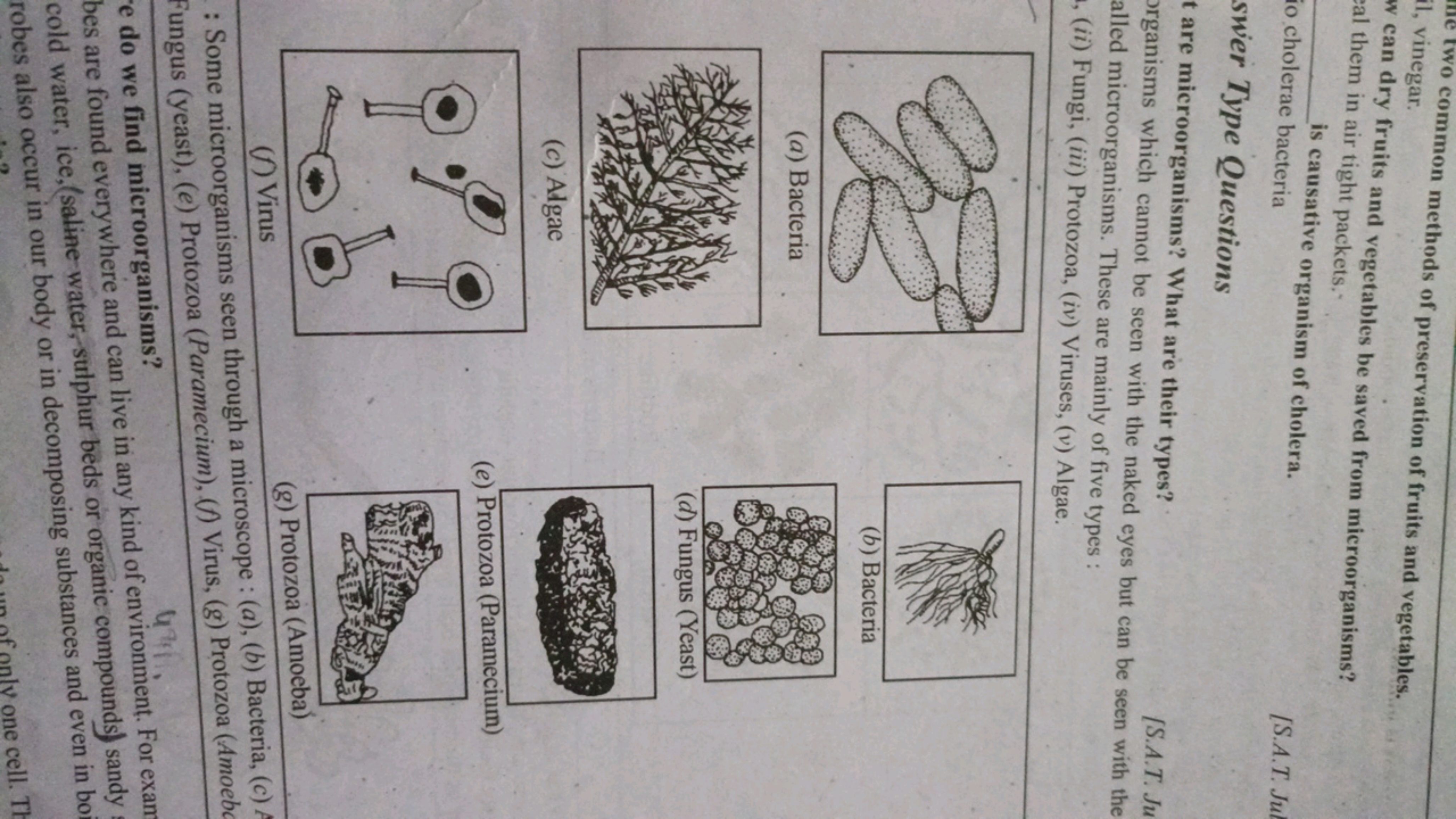 il, vinegar
w can dry fruits and vegetables be saved from microorganis