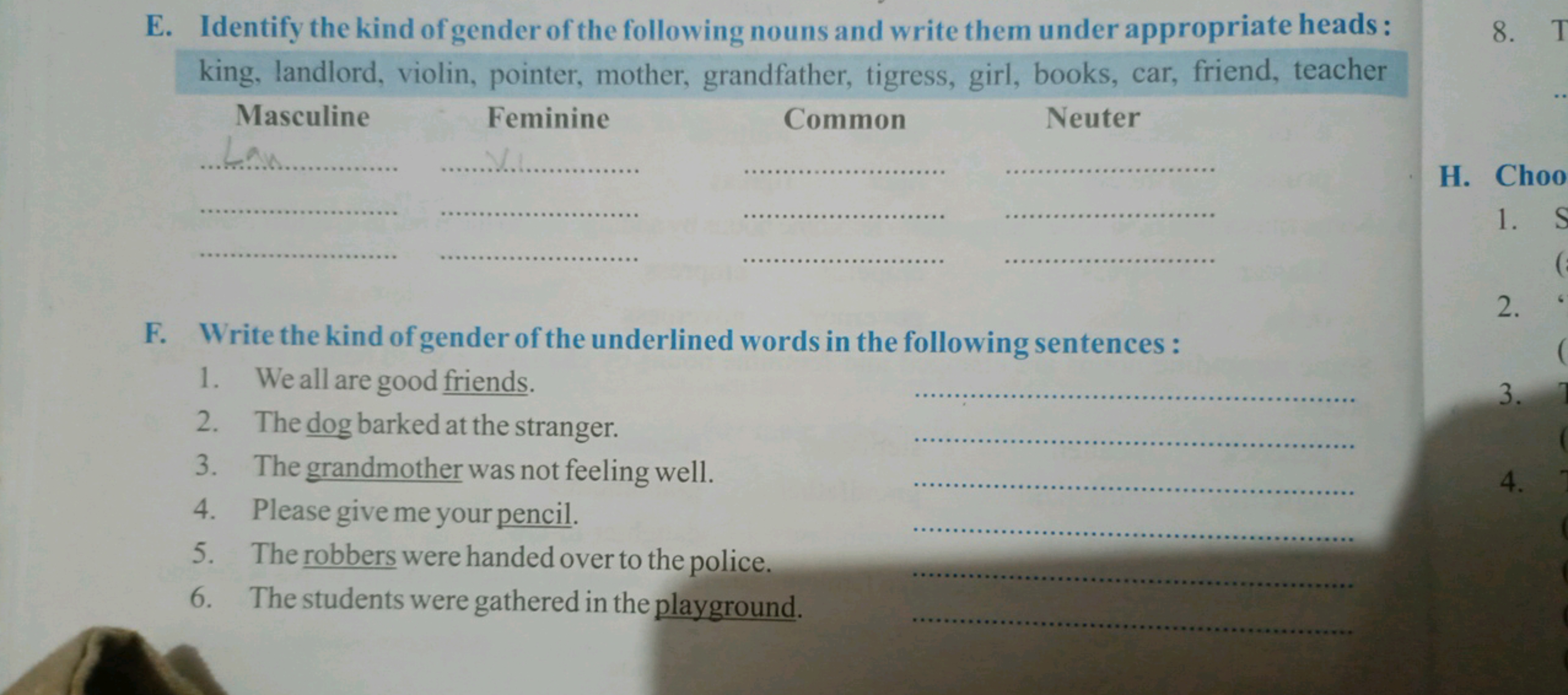 E. Identify the kind of gender of the following nouns and write them u