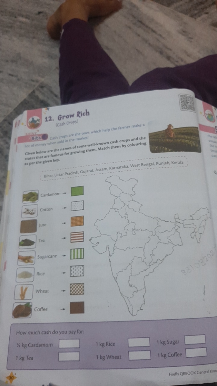 12. Grow Rich
(Cash crops)

Bits Cash cropt are the ones which help th