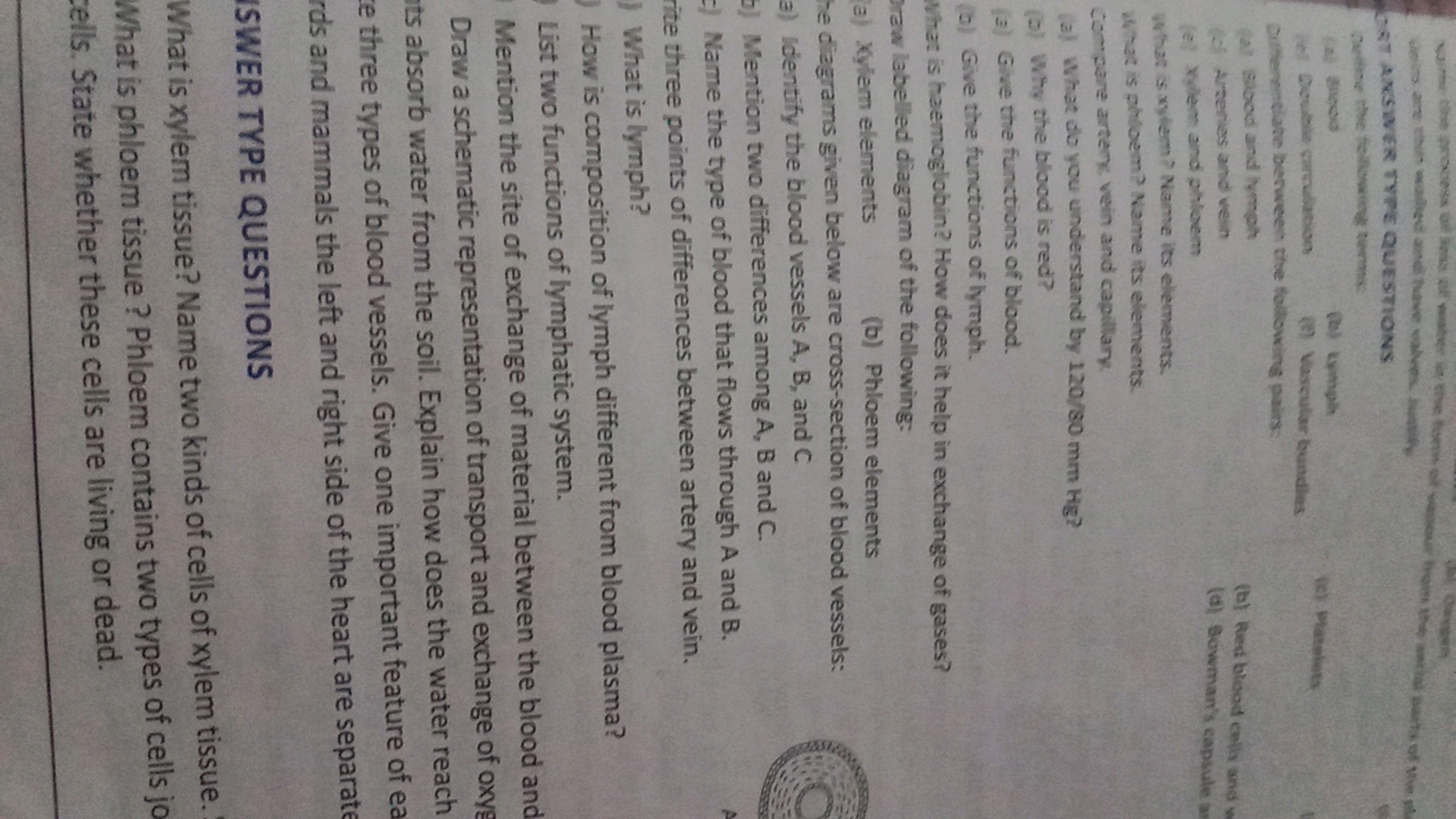 at Chowew
x=4
bacionat
OSI ANSWER TVPE QUESTIONS
(k) Eyinglh
है Nereyl