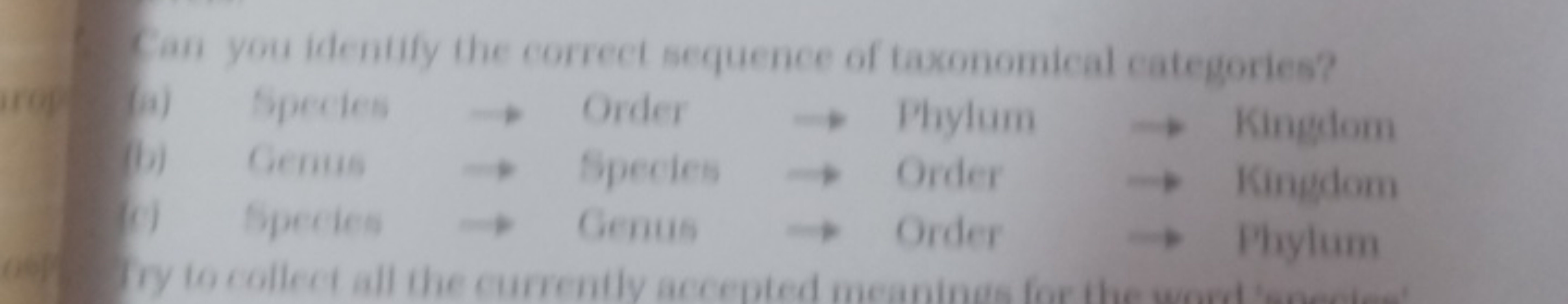 Can you identify the correct sequence of taxonomical categories?
a) Sp