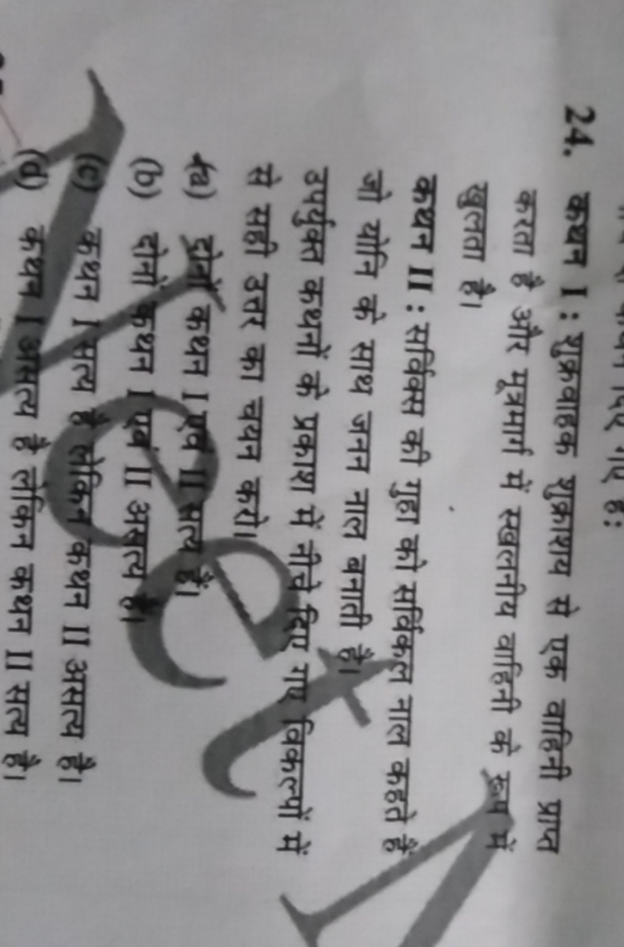 24. कथन I : शुक्रवाहक शुक्राशय से एक वाहिनी प्राप्त करता है और मूत्रमा