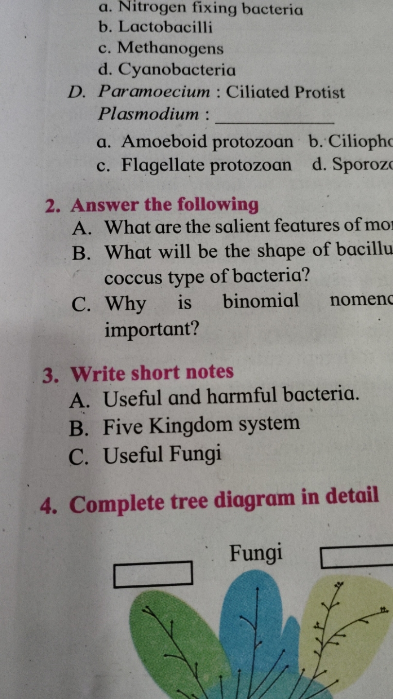 a. Nitrogen fixing bacteria
b. Lactobacilli
c. Methanogens
d. Cyanobac