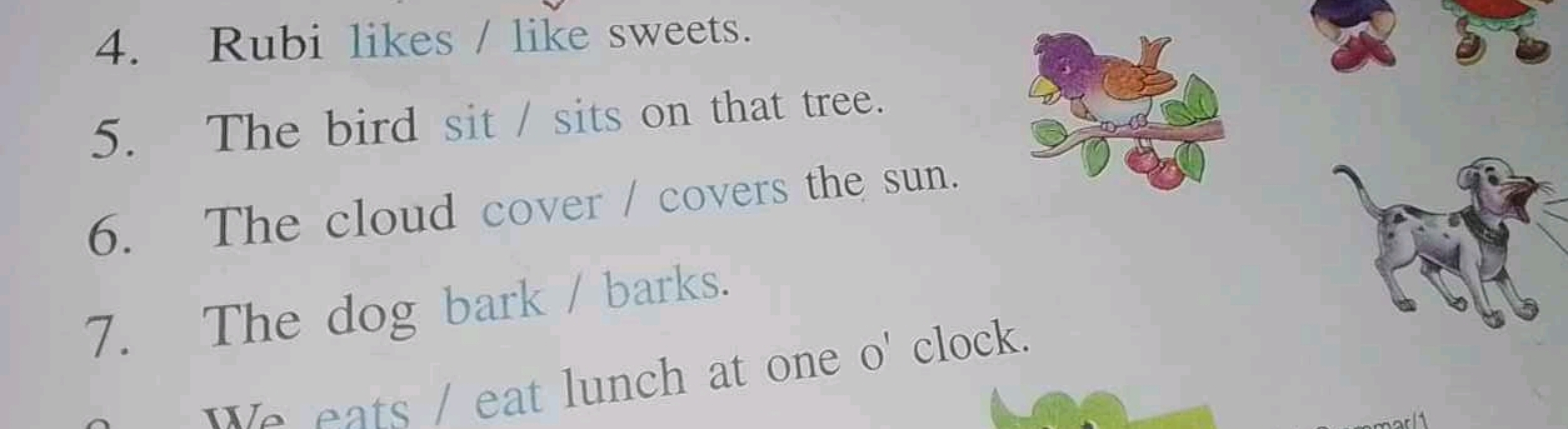 4. Rubi likes / like sweets.
5. The bird sit/ sits on that tree.
6. Th