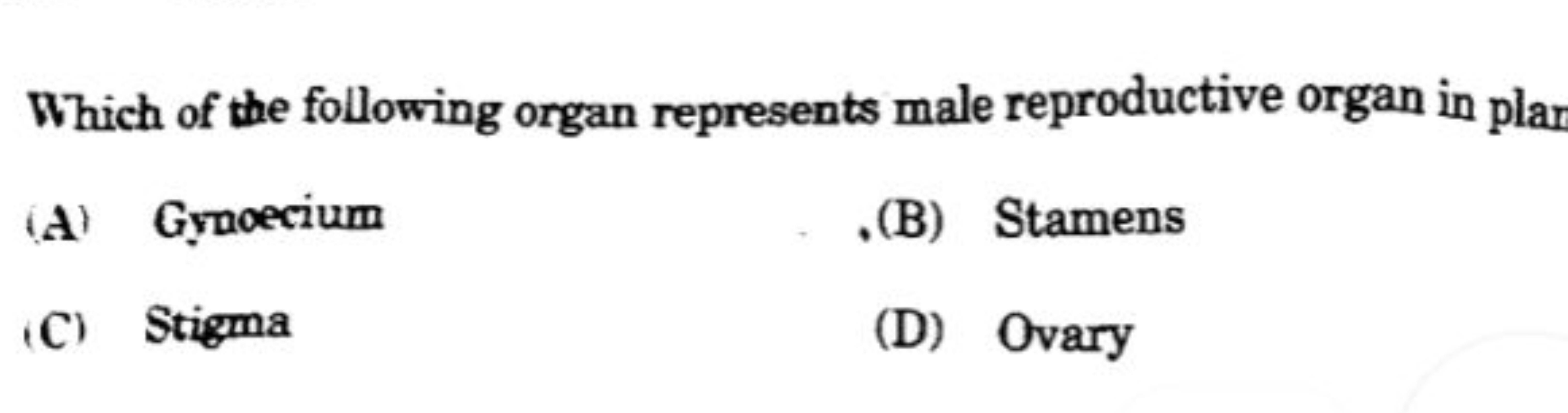 Which of the following organ represents male reproductive organ in pla