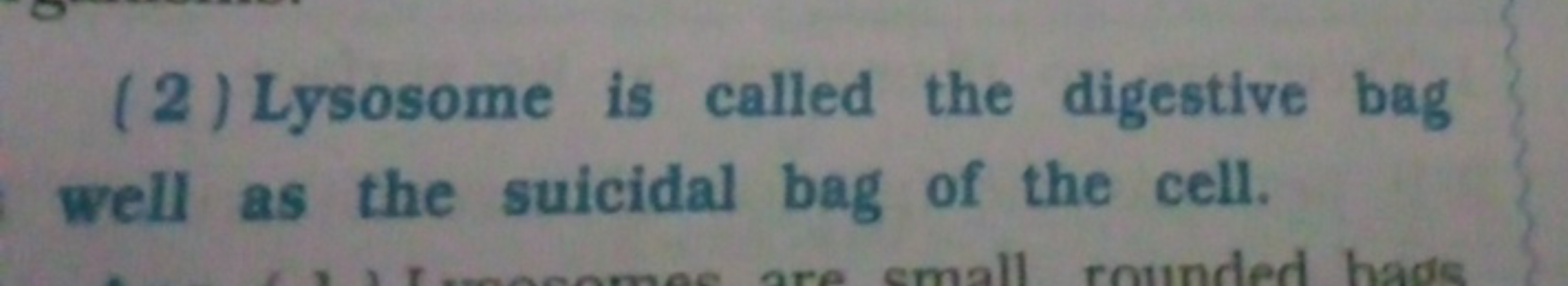 (2) Lysosome is called the digestive bag well as the suicidal bag of t