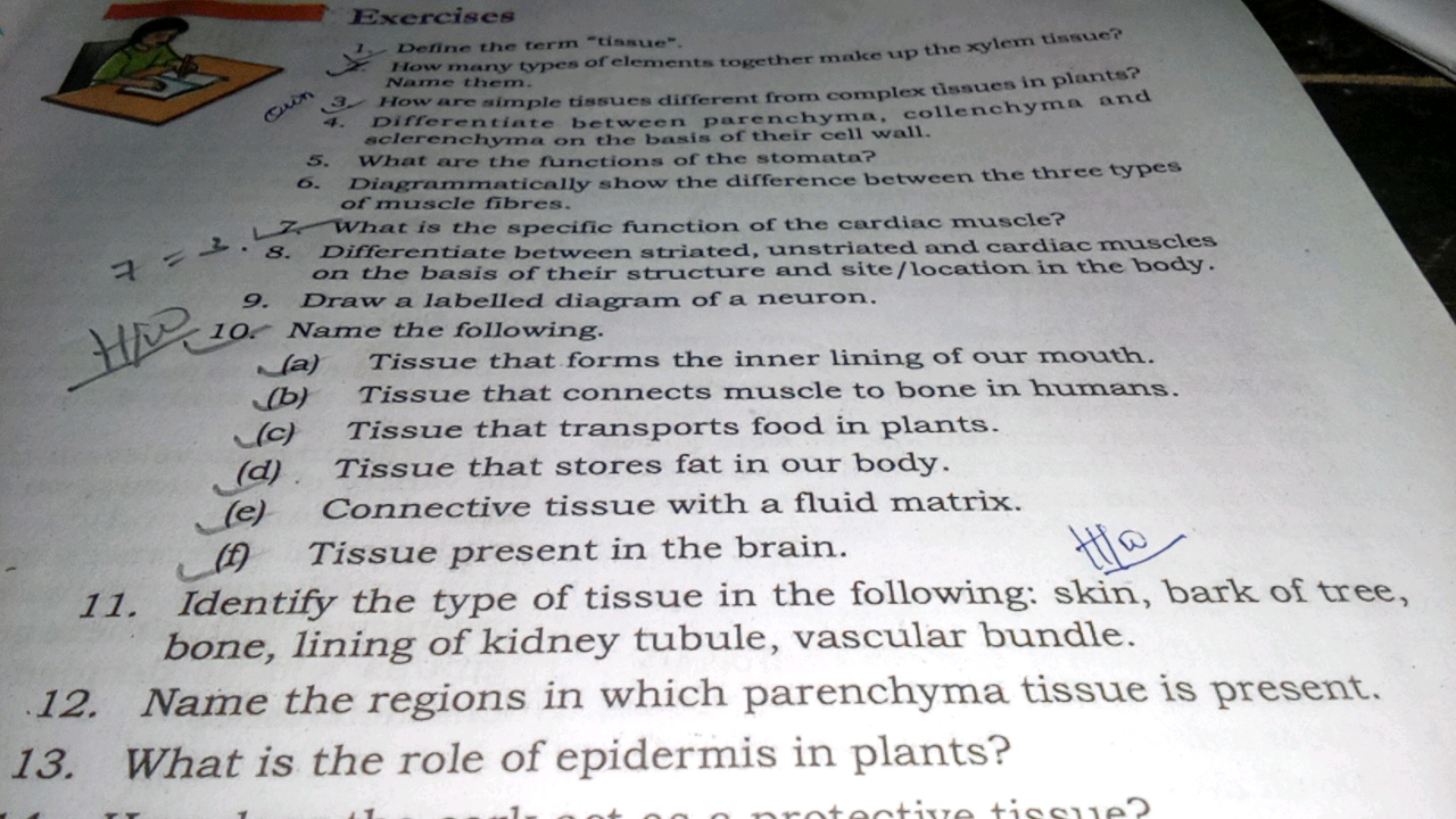 Excrcises
.
3. How are aimple tissues different from complex tissues i