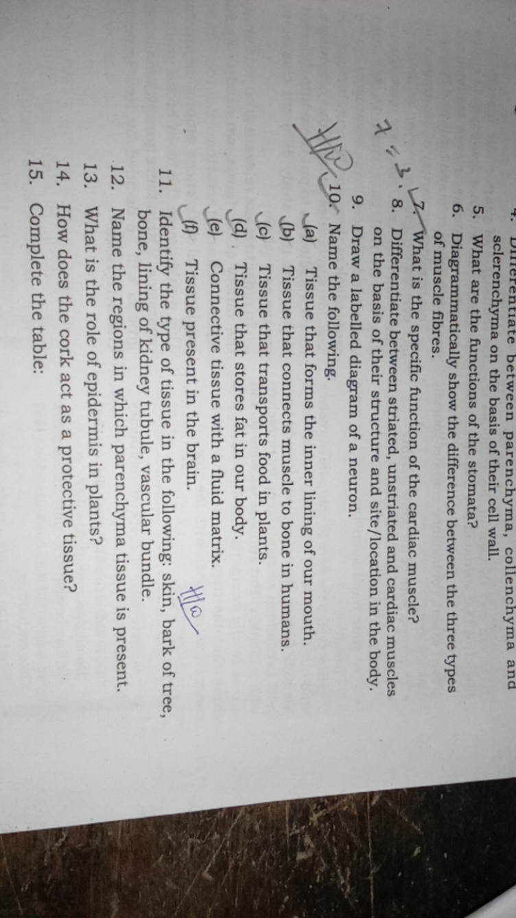 7. Dinerentiate between parenchyma, collenchyma and sclerenchyma on th