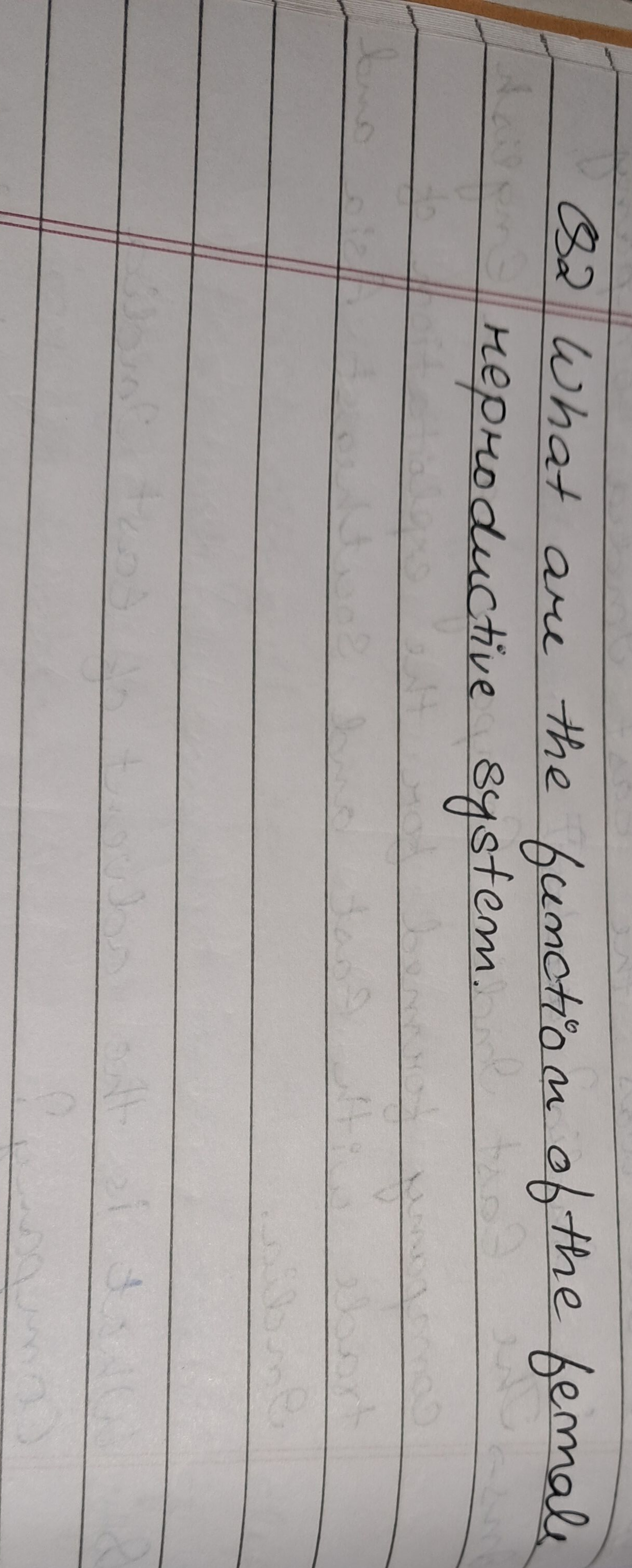 Q2 What are the function of the female reproductive system.