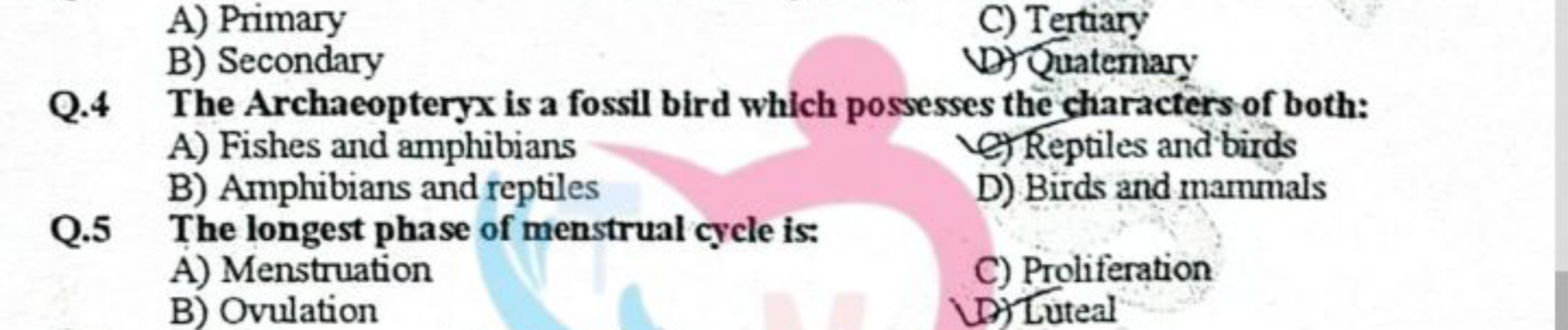 A) Primary
C) Tertiary
B) Secondary
(D) Quatemary
Q. 4 The Archaeopter