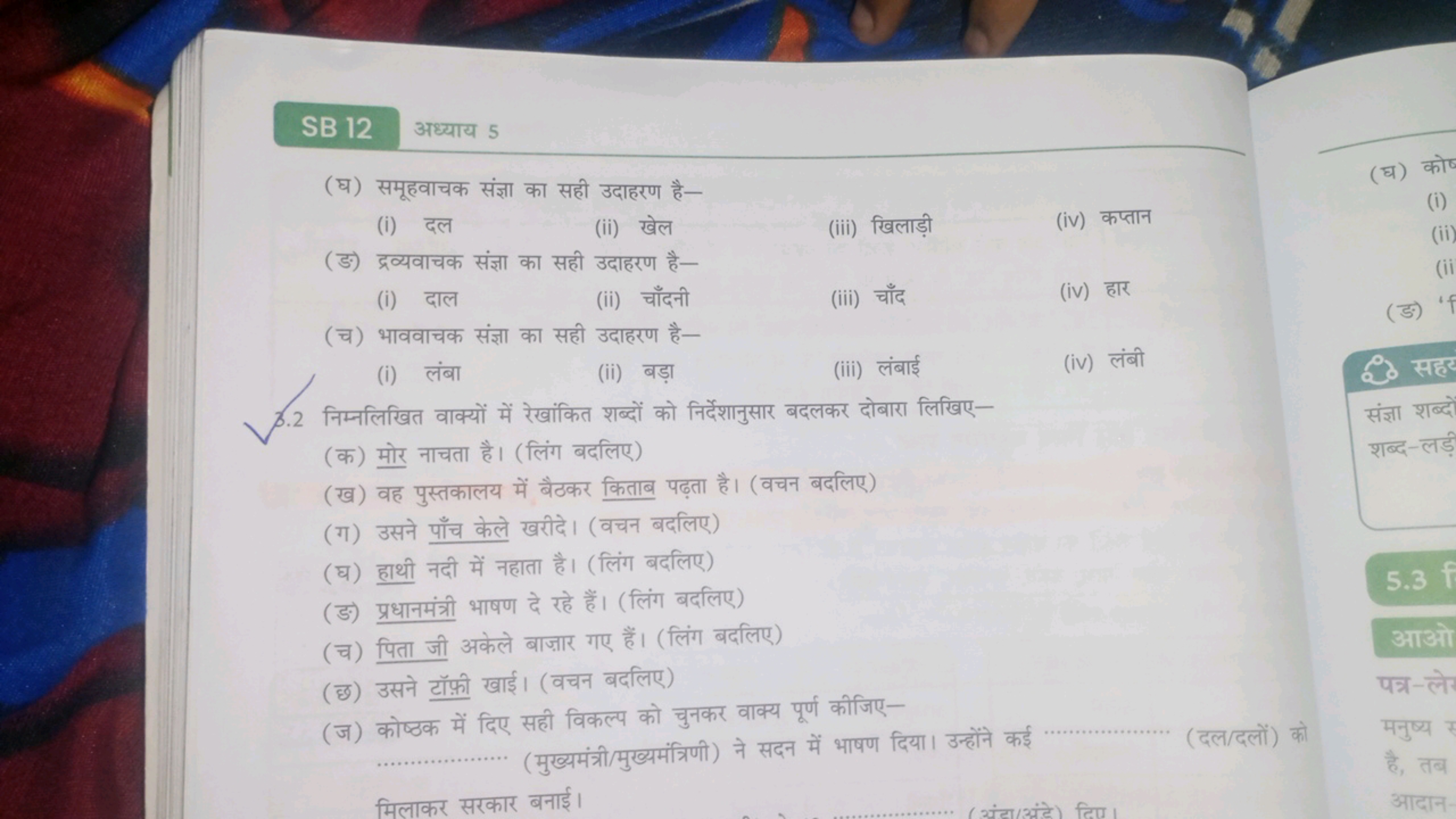 SB 12
अध्याय 5
(घ) समूहवाचक संज्ञा का सही उदाहरण है-
(i) दल
(ii) खेल
(