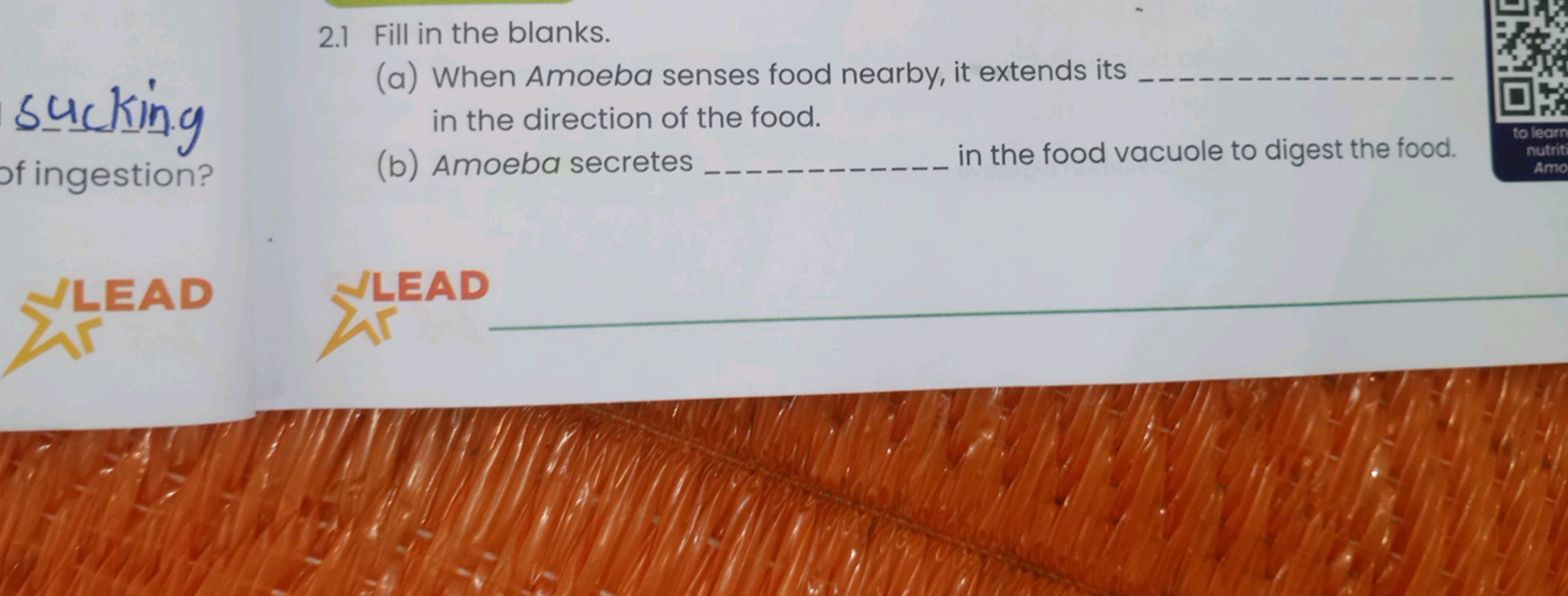 2.1 Fill in the blanks.
sucking
of ingestion?
(a) When Amoeba senses f