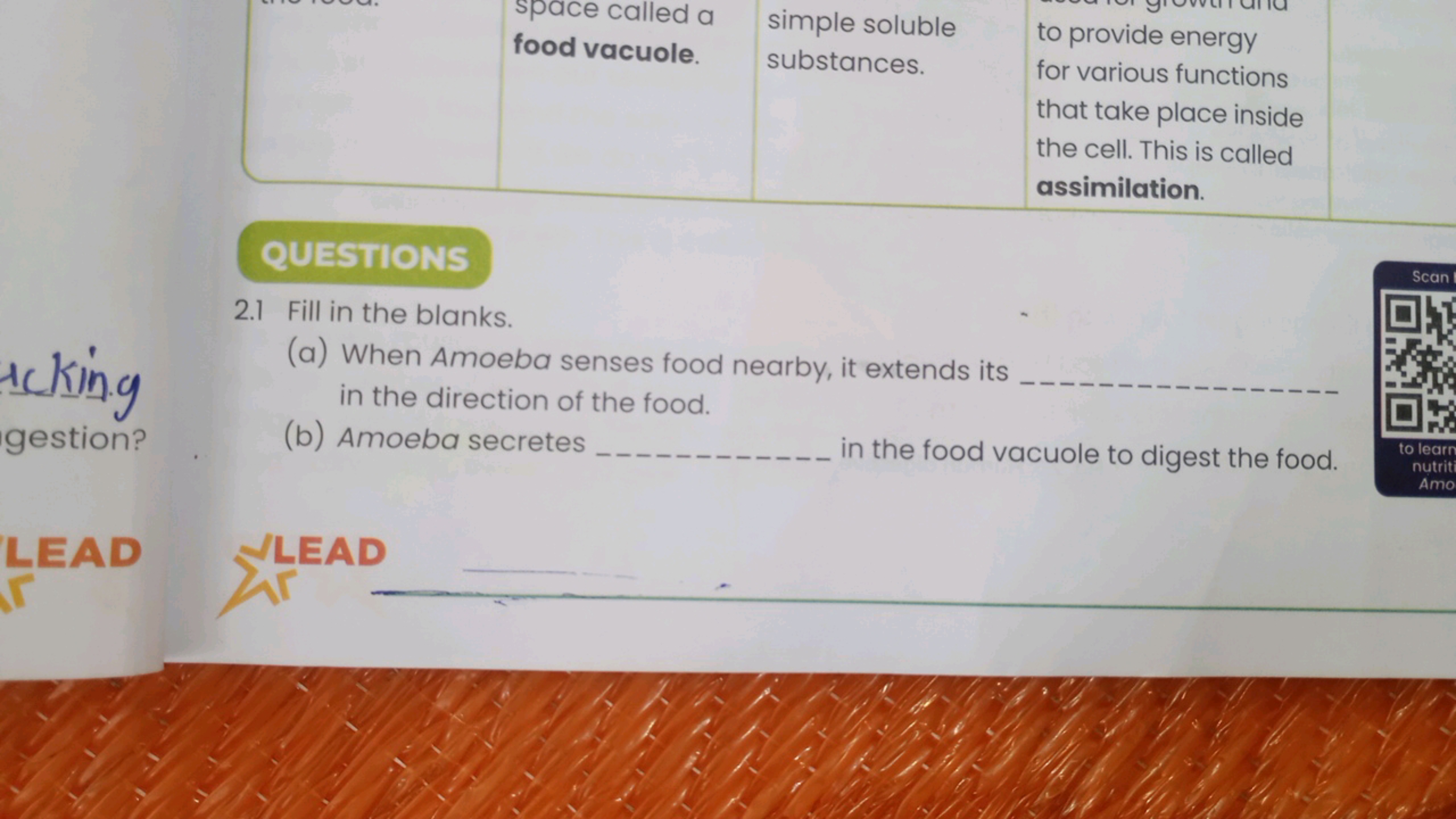 space called a
food vacuole.
simple soluble
substances.
to provide ene