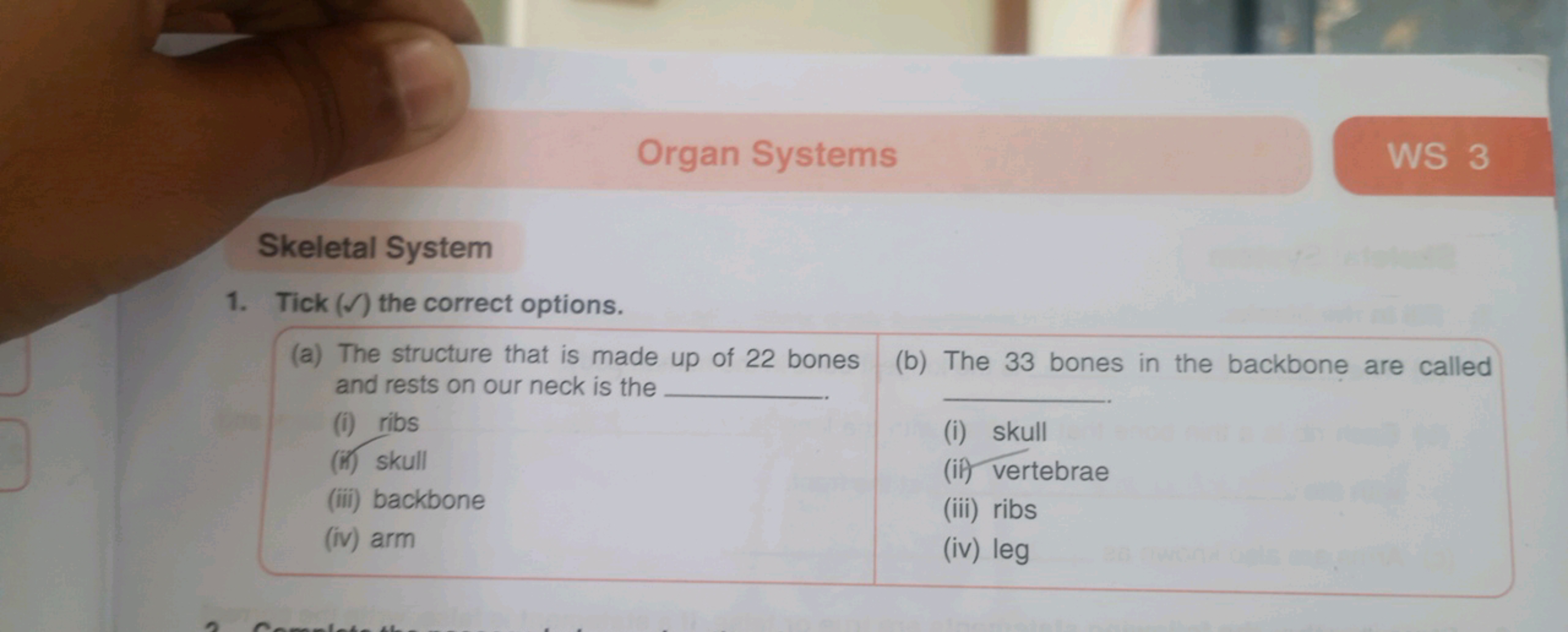 Organ Systems
WS 3

Skeletal System
1. Tick (Ω) the correct options.
(