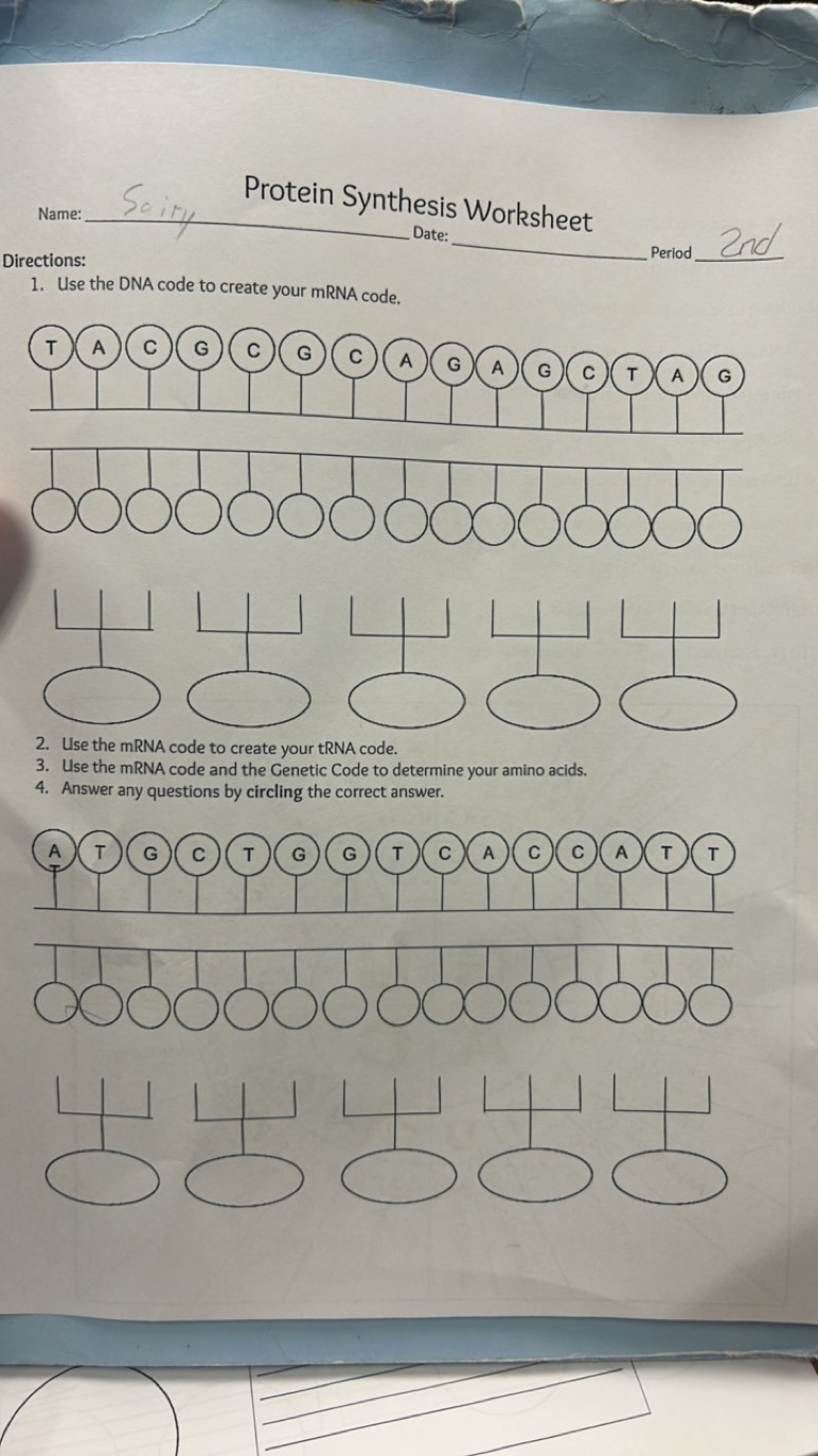 Protein Synthesis Worksheet  