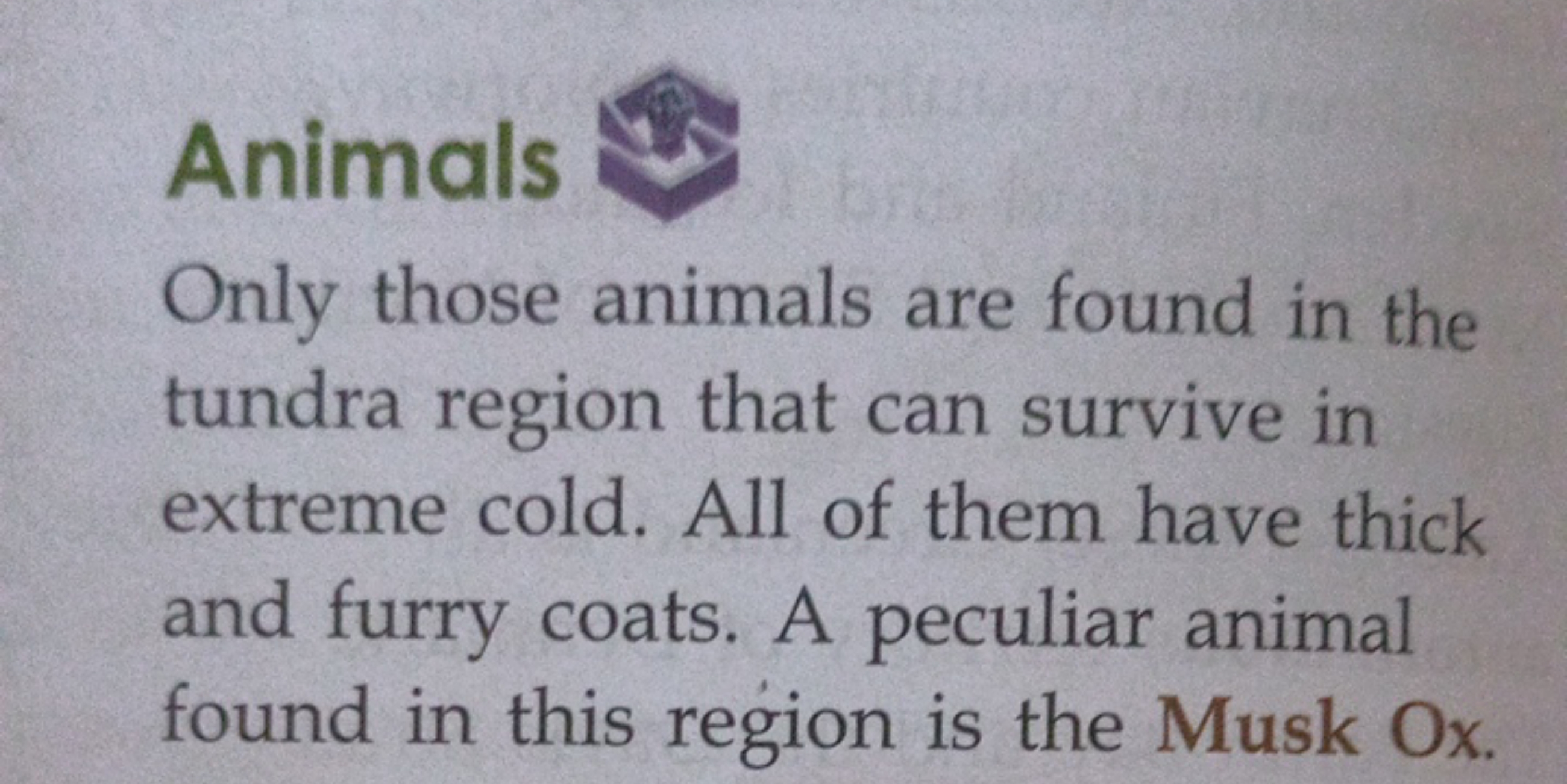 Animals
Only those animals are found in the tundra region that can sur