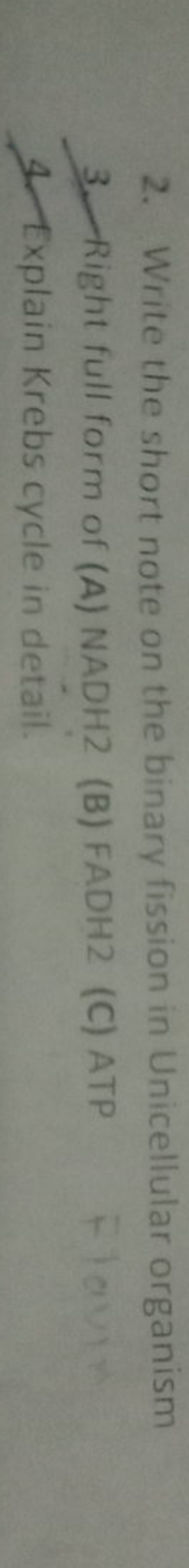 2. Write the short note on the binary fission in Unicellular organism
