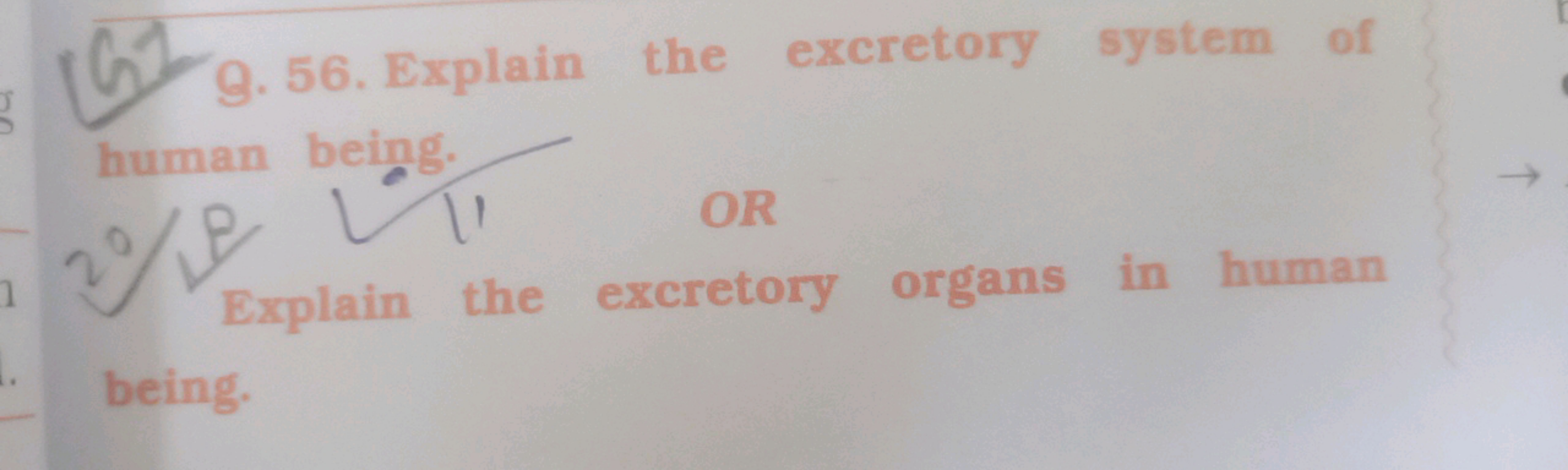 Q. 56. Explain the excretory system of human  being. 2/5
II
OR
Explain