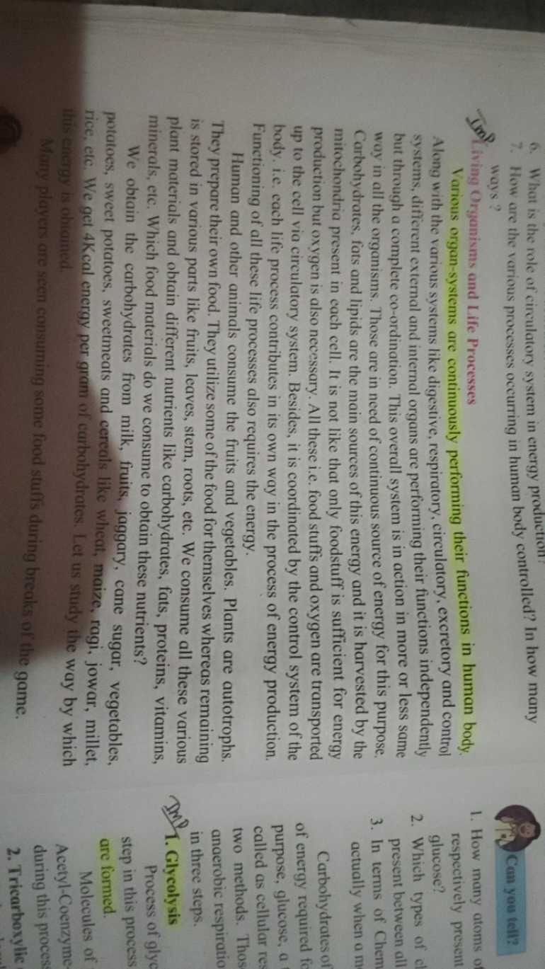 6. What is the role of circulatory system in energy production.
7. How