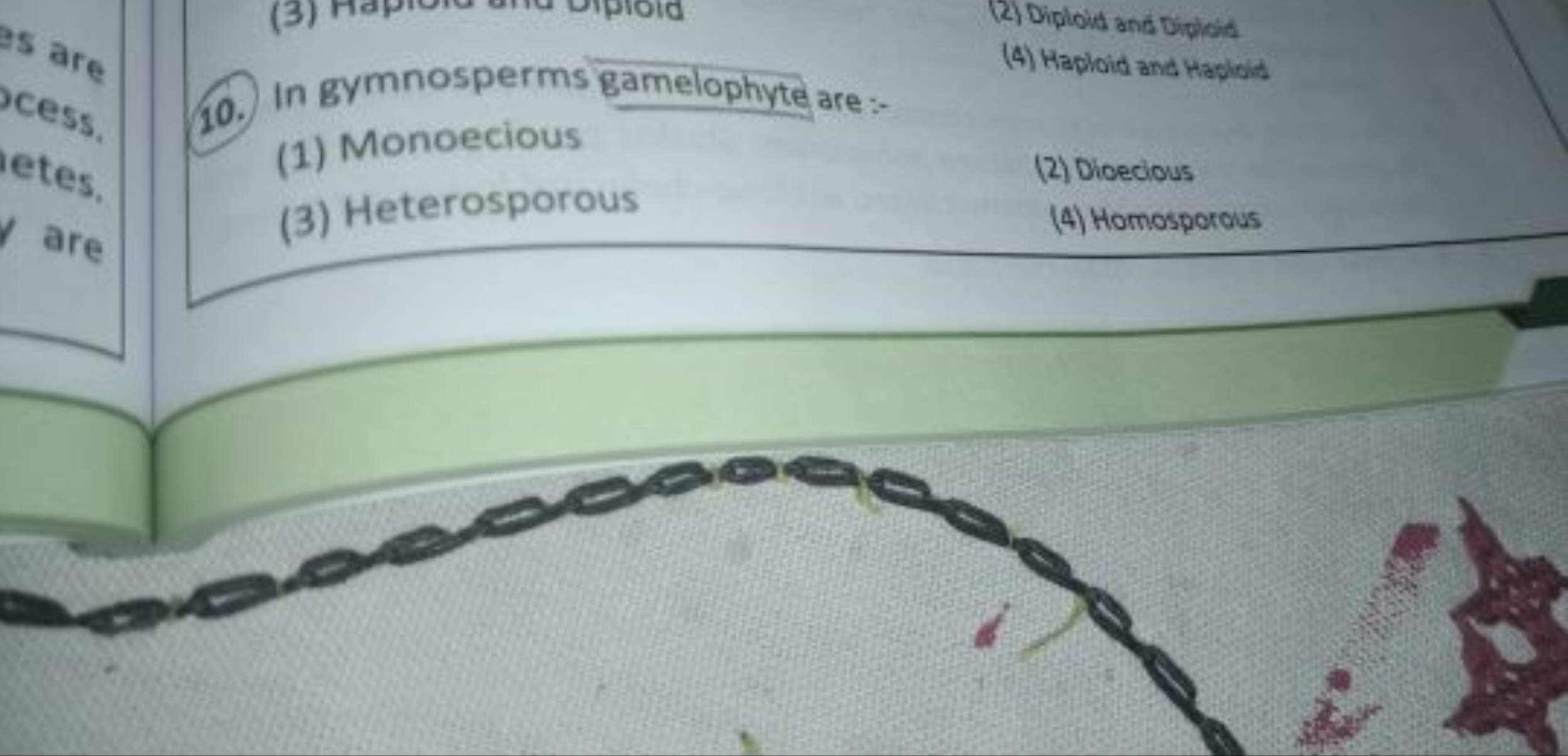 (2) Diphoid and Diplicis (4) Haploid and Haploid
10. In gymnosperms ga