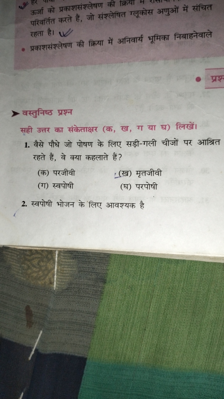 ऊर्जा को प्रकाशसंश्लेषण की क्रया परिवर्तंत करते हैं, जो संश्लेषित ग्लू